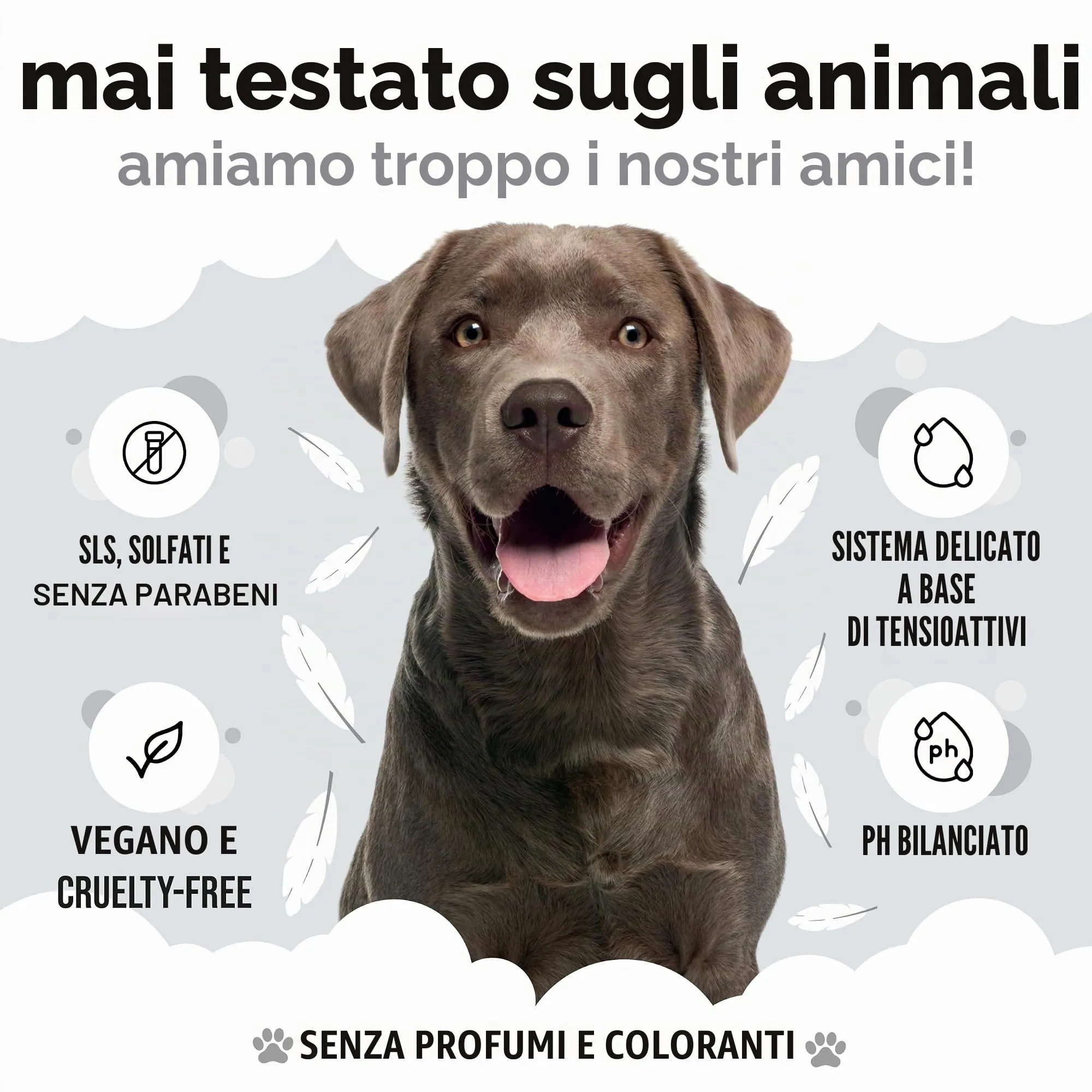 Buddycare Shampoo per Cani Derma Sensitive con Aloe Vera e Pro Vitamina B5, 5L - immagine 5
