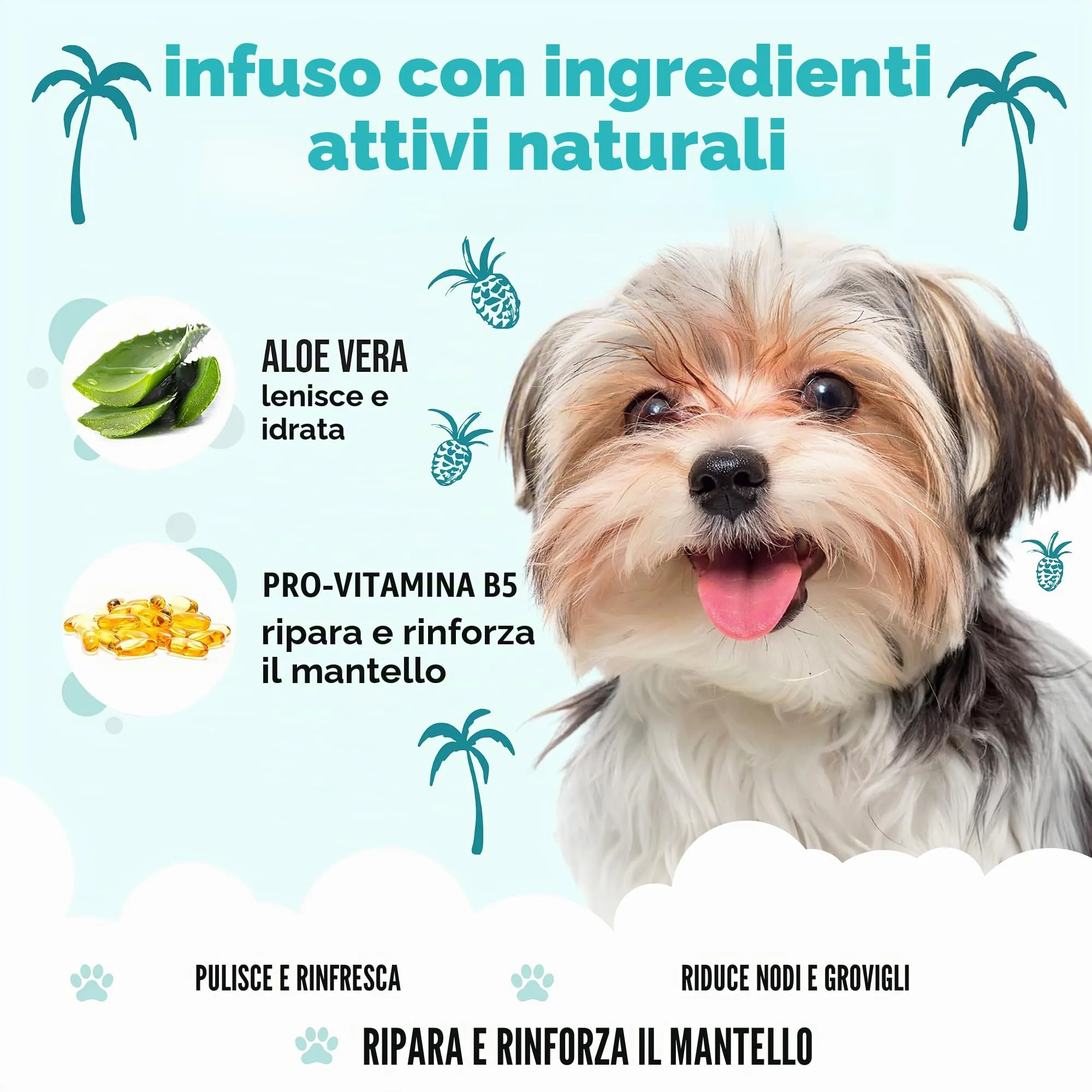 Buddycare Tropical Dog Shampoo with Aloe Vera and Pro Vitamin B5, 500 ml - immagine 3