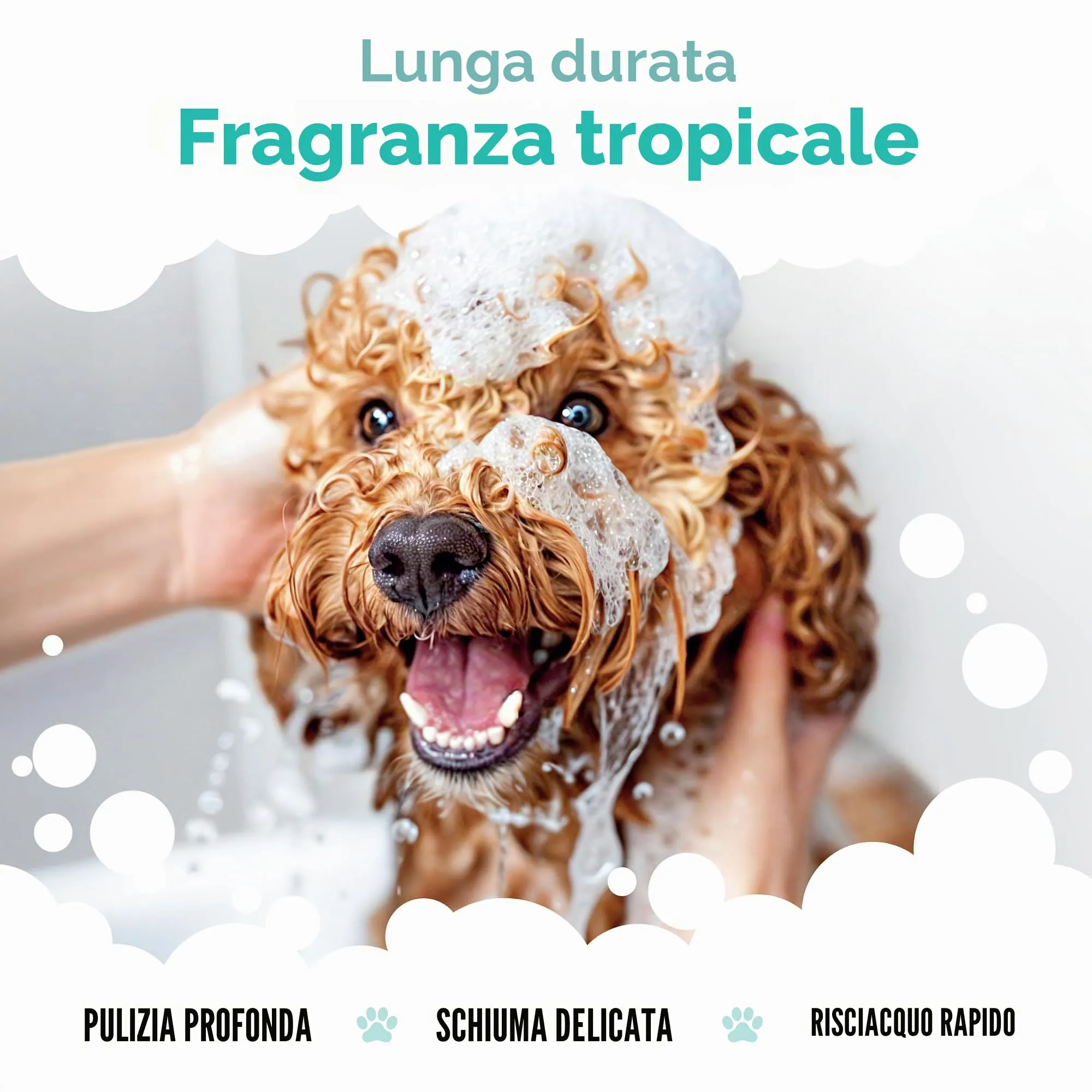 Buddycare Tropical Dog Shampoo with Aloe Vera and Pro Vitamin B5, 500 ml - immagine 4