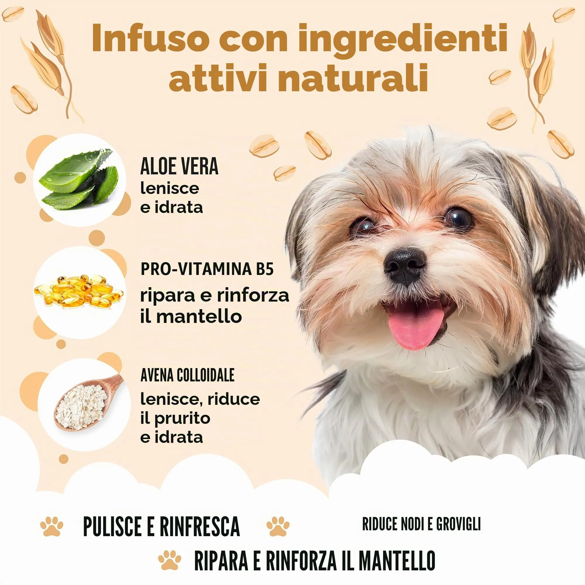 Buddycare Shampoo per cani alla farina d'avena, 1000 ml - immagine 3