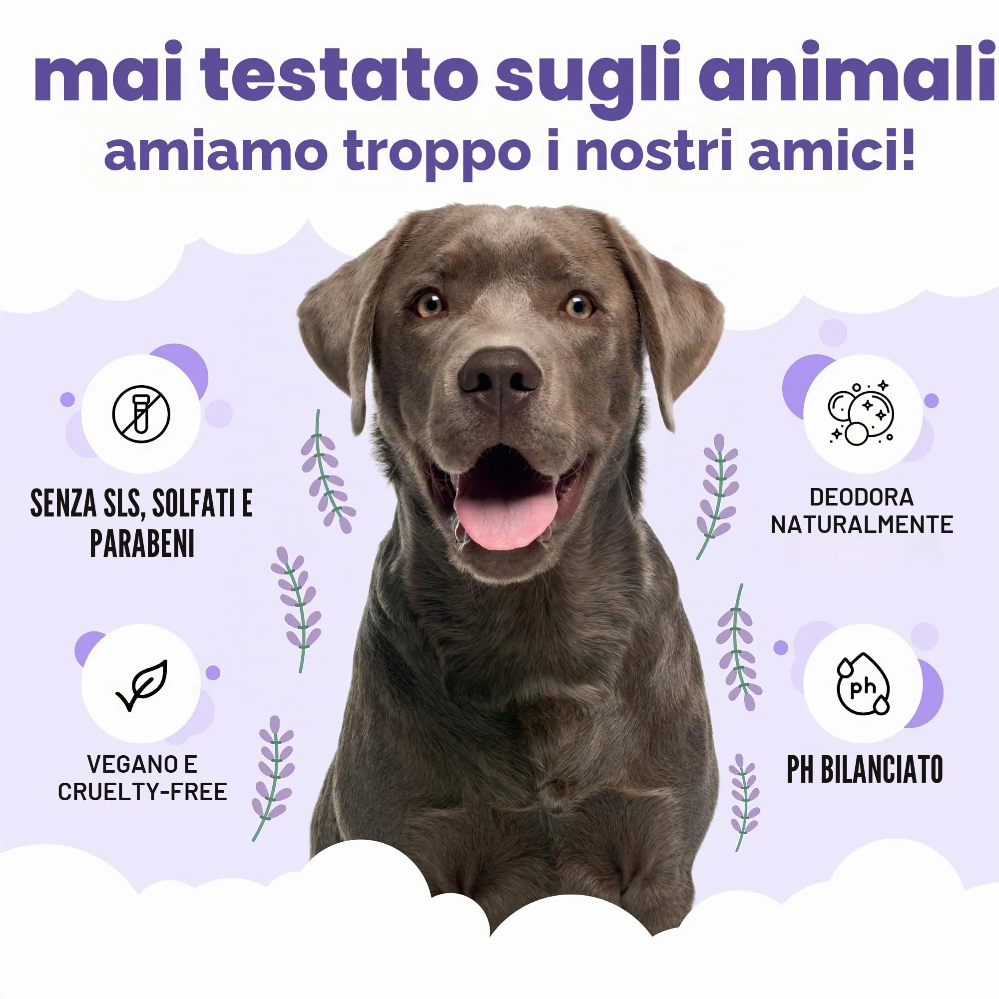 Buddycare Shampoo Lenitivo e Deodorante per Cani alla Lavanda con Aloe Vera e Pro-vitamina B5, 1 Litro - immagine 5