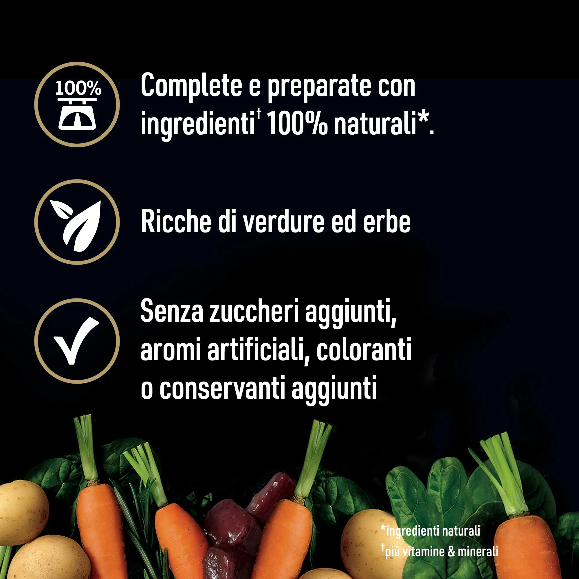 Cesar Natural Goodness Cibo Umido per Cani, Pollame, Tacchino, Manzo e Salmone in Patè, 24 Vaschette da 100g - immagine 2
