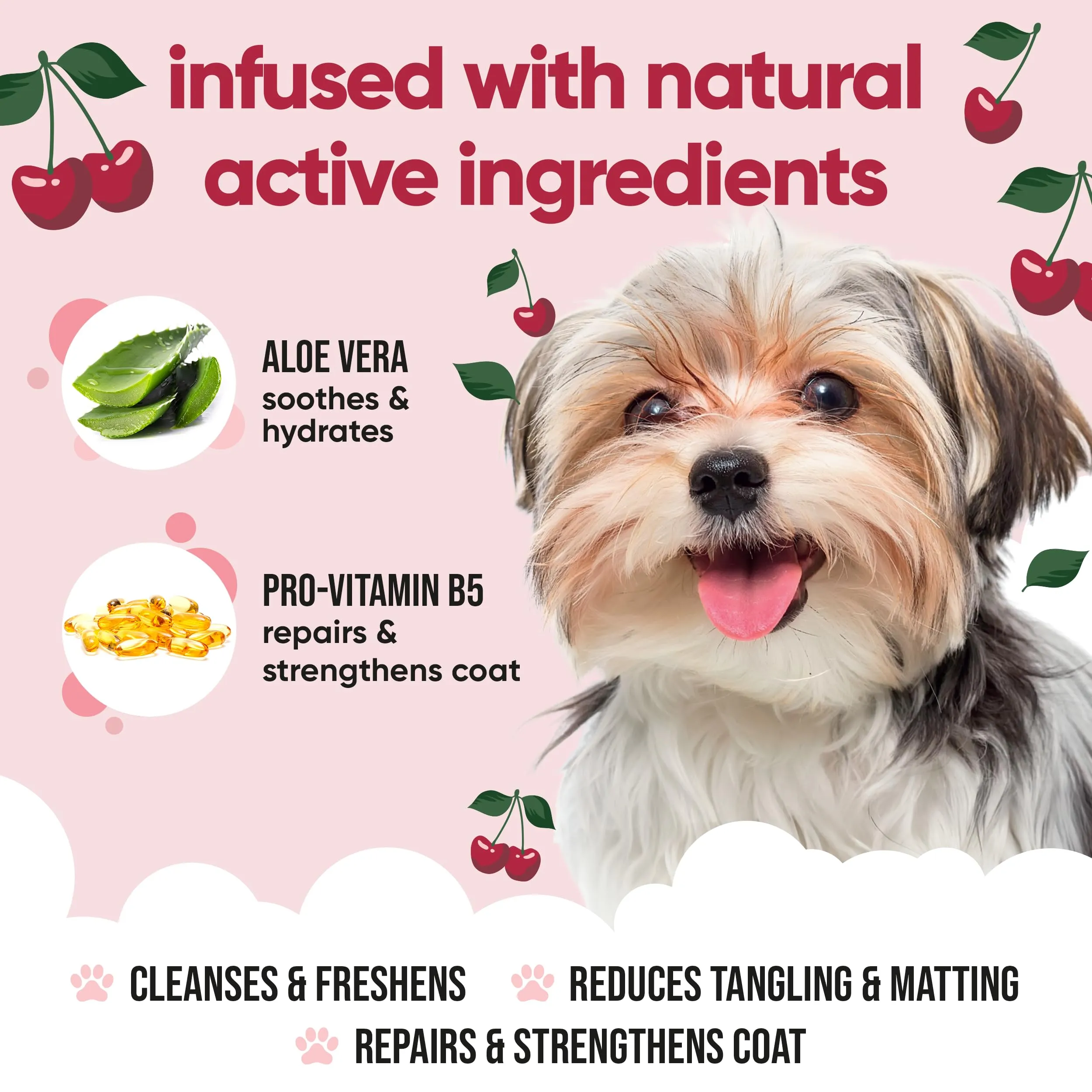Buddycare Shampoo per cani con Aloe Vera e Pro Vitamina B5, Amarena, 5L - immagine 3