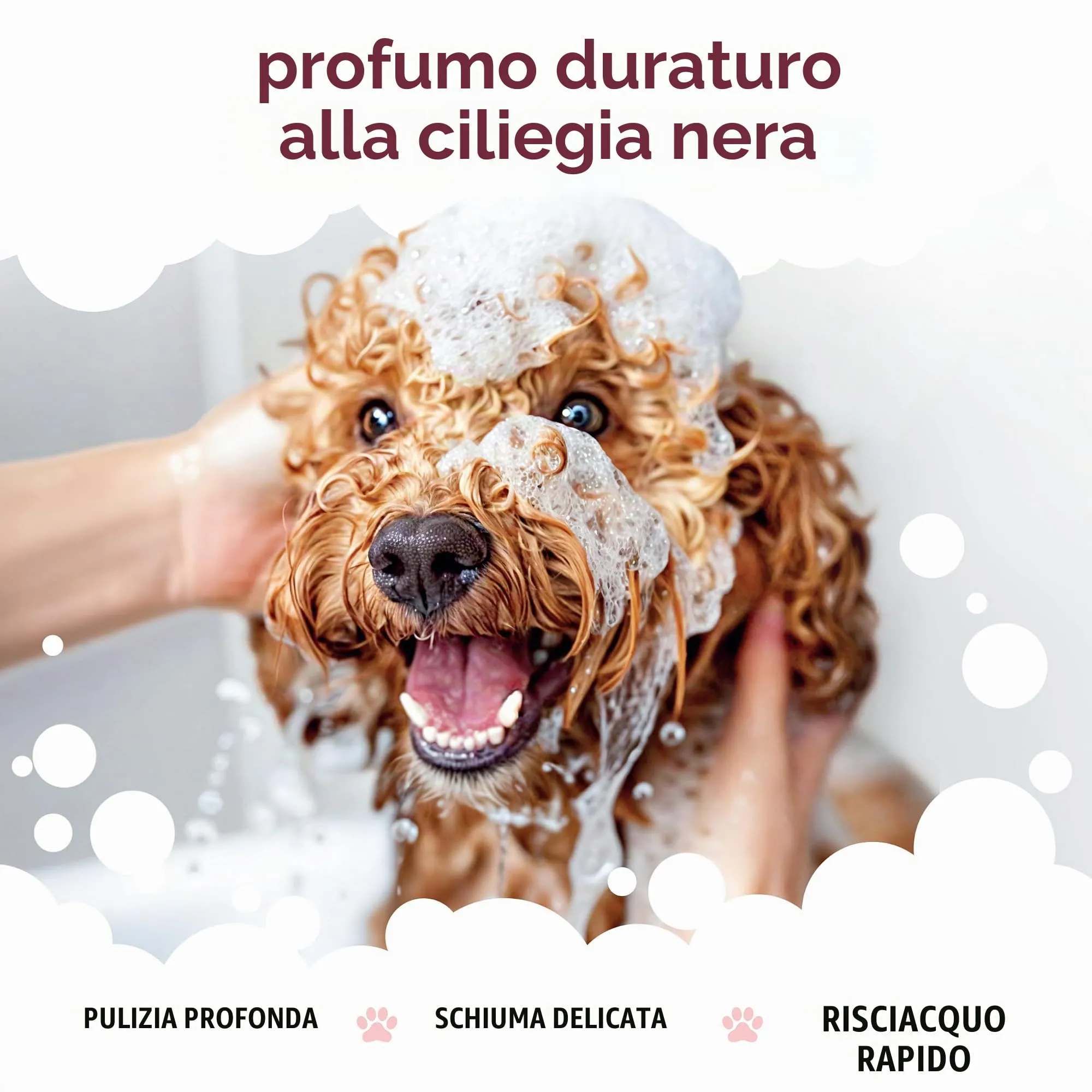 Buddycare Shampoo per cani con Aloe Vera e Pro Vitamina B5, Amarena, 5L - immagine 4