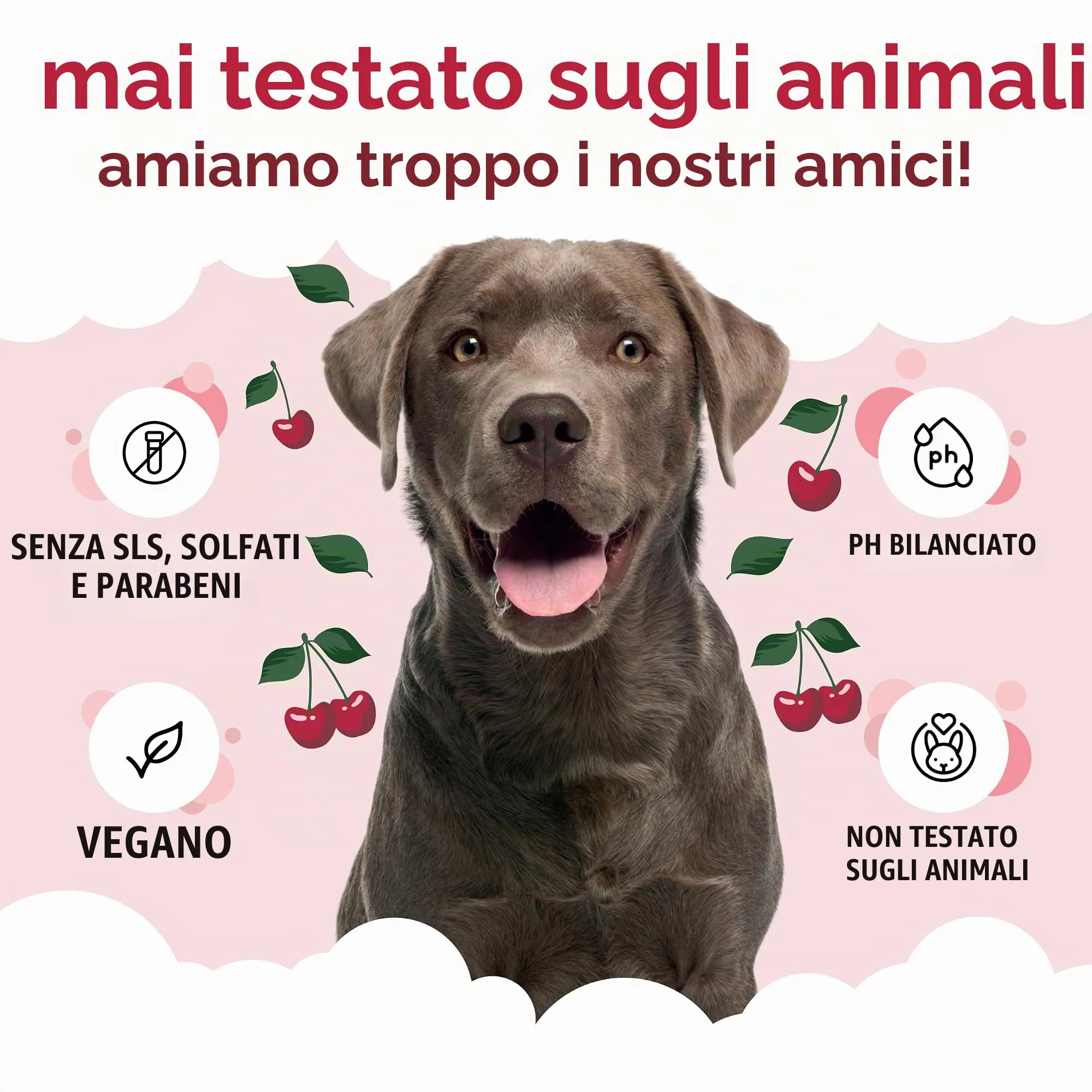 Buddycare Shampoo per cani con Aloe Vera e Pro Vitamina B5, Amarena, 5L - immagine 5