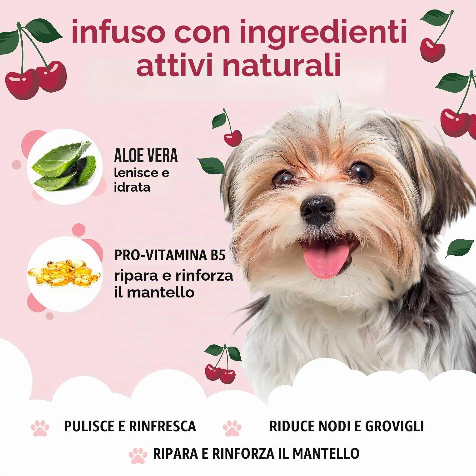 Buddycare Shampoo per cani, Pulizia profonda con Aloe Vera e Pro Vitamina B5, Amarena, 500 ml - immagine 3