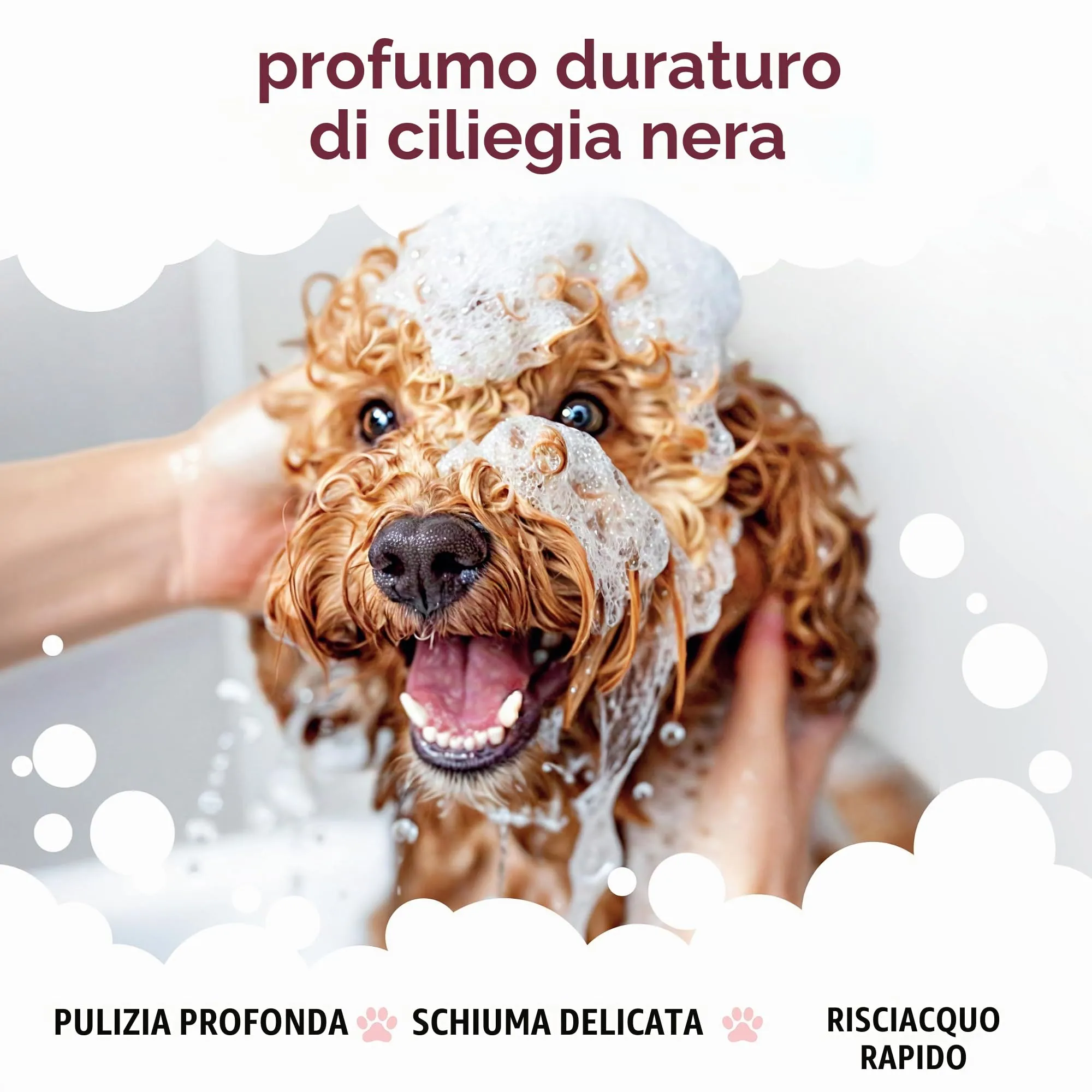 Buddycare Shampoo per cani, Pulizia profonda con Aloe Vera e Pro Vitamina B5, Amarena, 500 ml - immagine 4