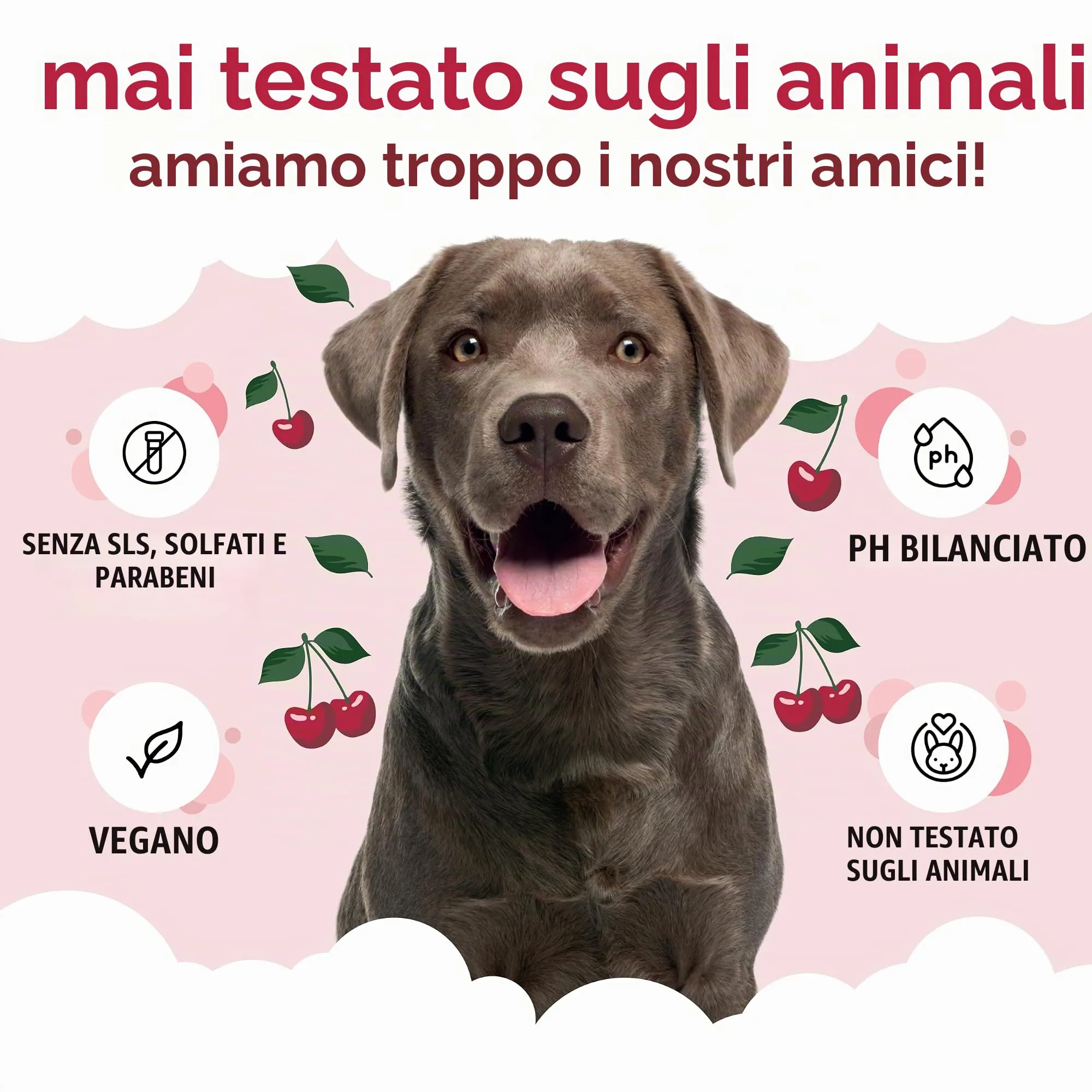 Buddycare Shampoo per cani, Pulizia profonda con Aloe Vera e Pro Vitamina B5, Amarena, 500 ml - immagine 5