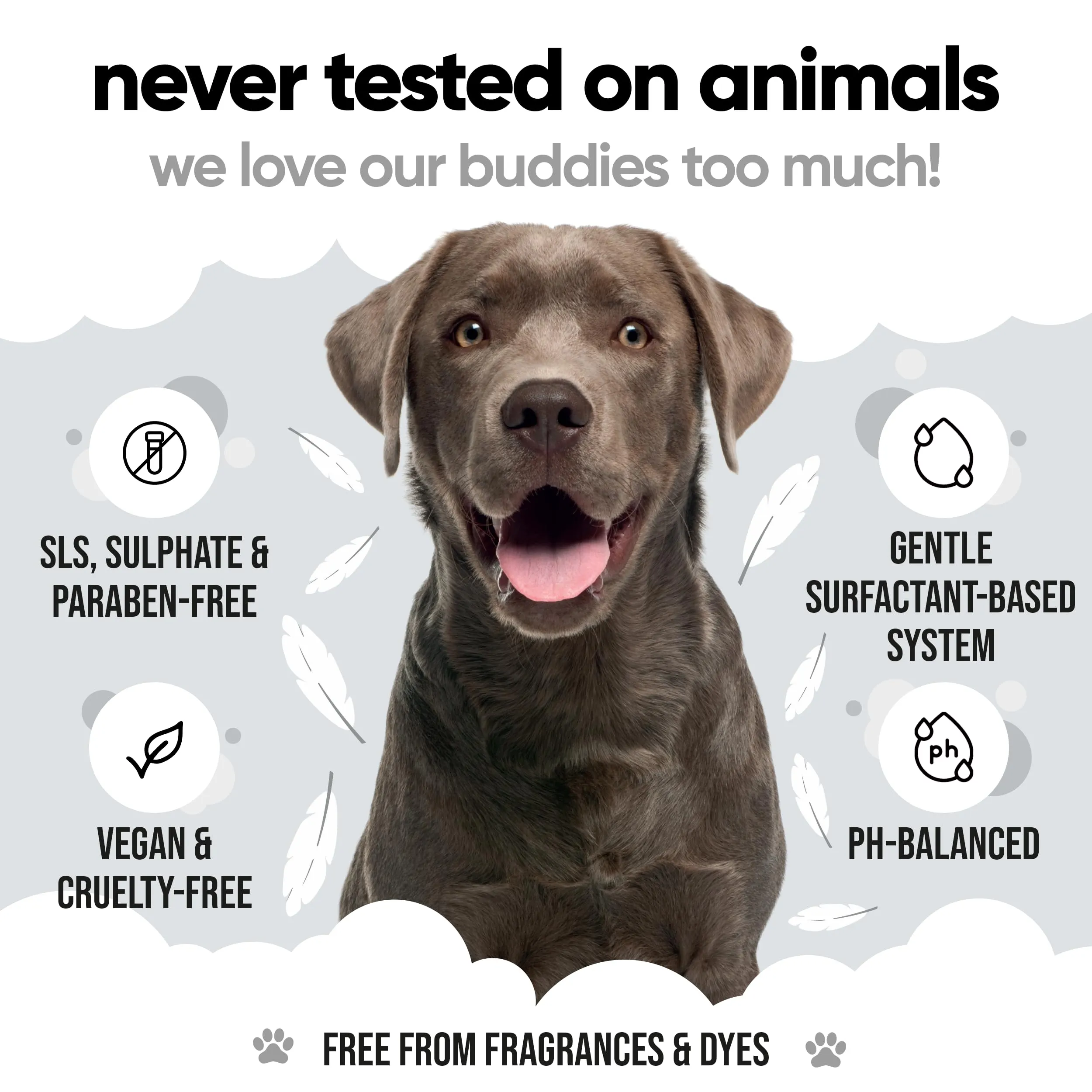 Buddycare Derma Sensitive Shampoo per cani pelli sensibili con aloe vera e pro vitamina B5, 1L - immagine 5