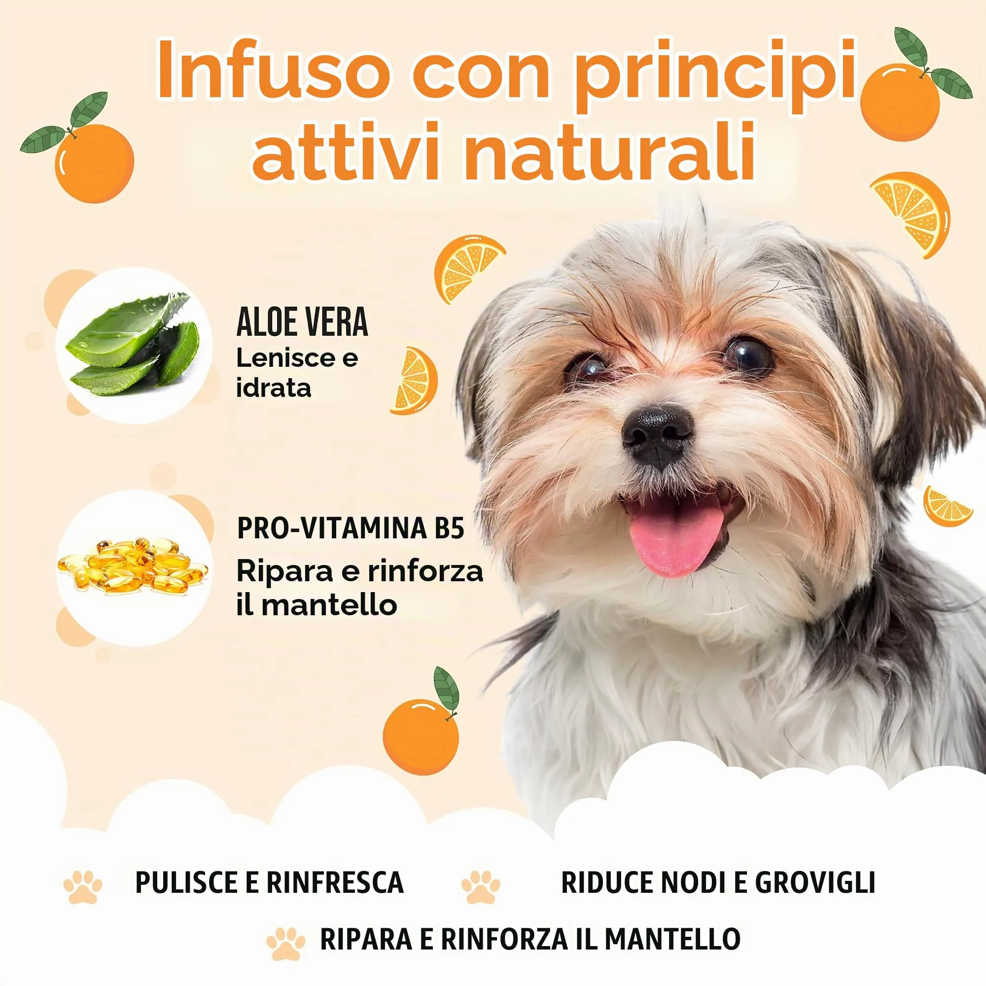 Buddycare Shampoo per cani all'arancia con Aloe Vera e Pro-Vitamina B5, 500 ml - immagine 3
