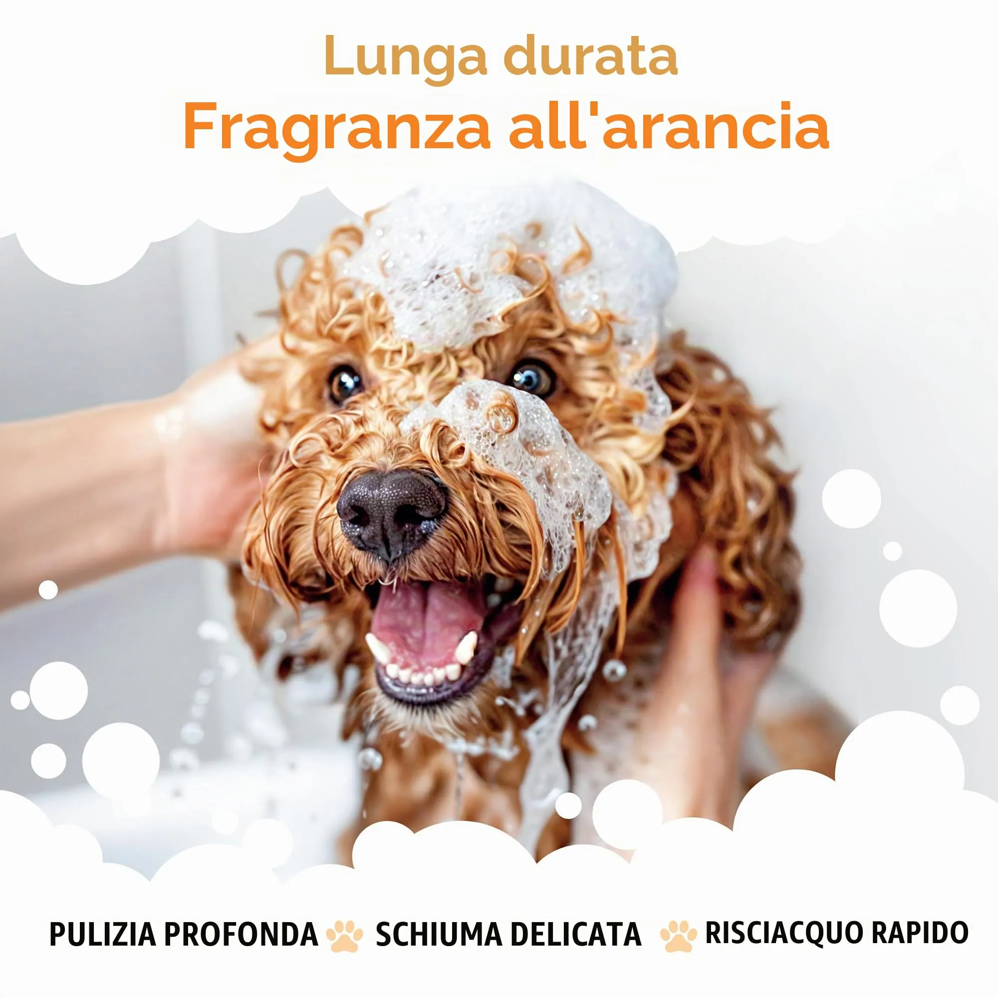 Buddycare Shampoo per cani all'arancia con Aloe Vera e Pro-Vitamina B5, 500 ml - immagine 4