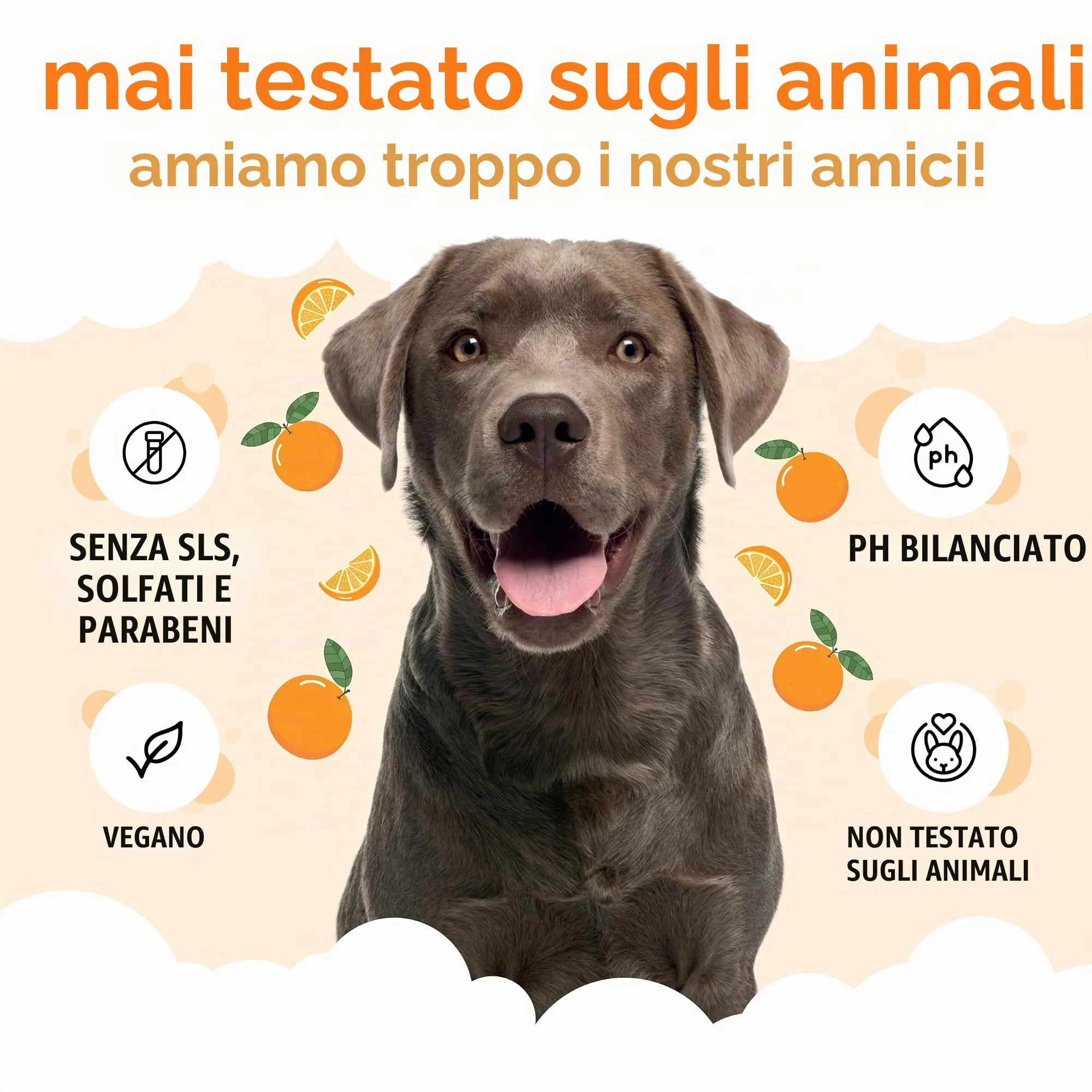 Buddycare Shampoo per cani all'arancia con Aloe Vera e Pro-Vitamina B5, 500 ml - immagine 5
