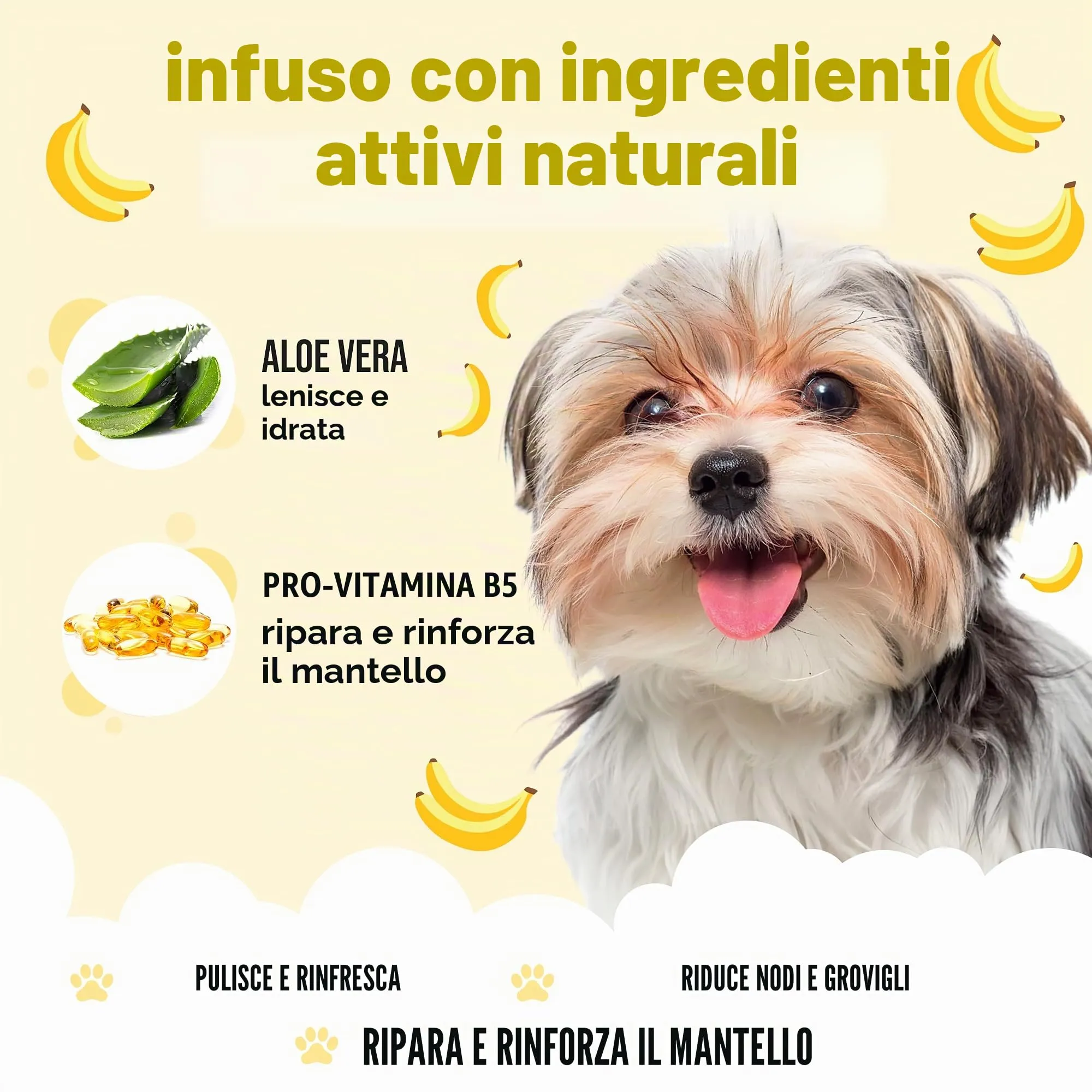 Buddycare Shampoo per Cani alla Banana con Aloe Vera e Pro-Vitamina B5, 500 ml - immagine 3