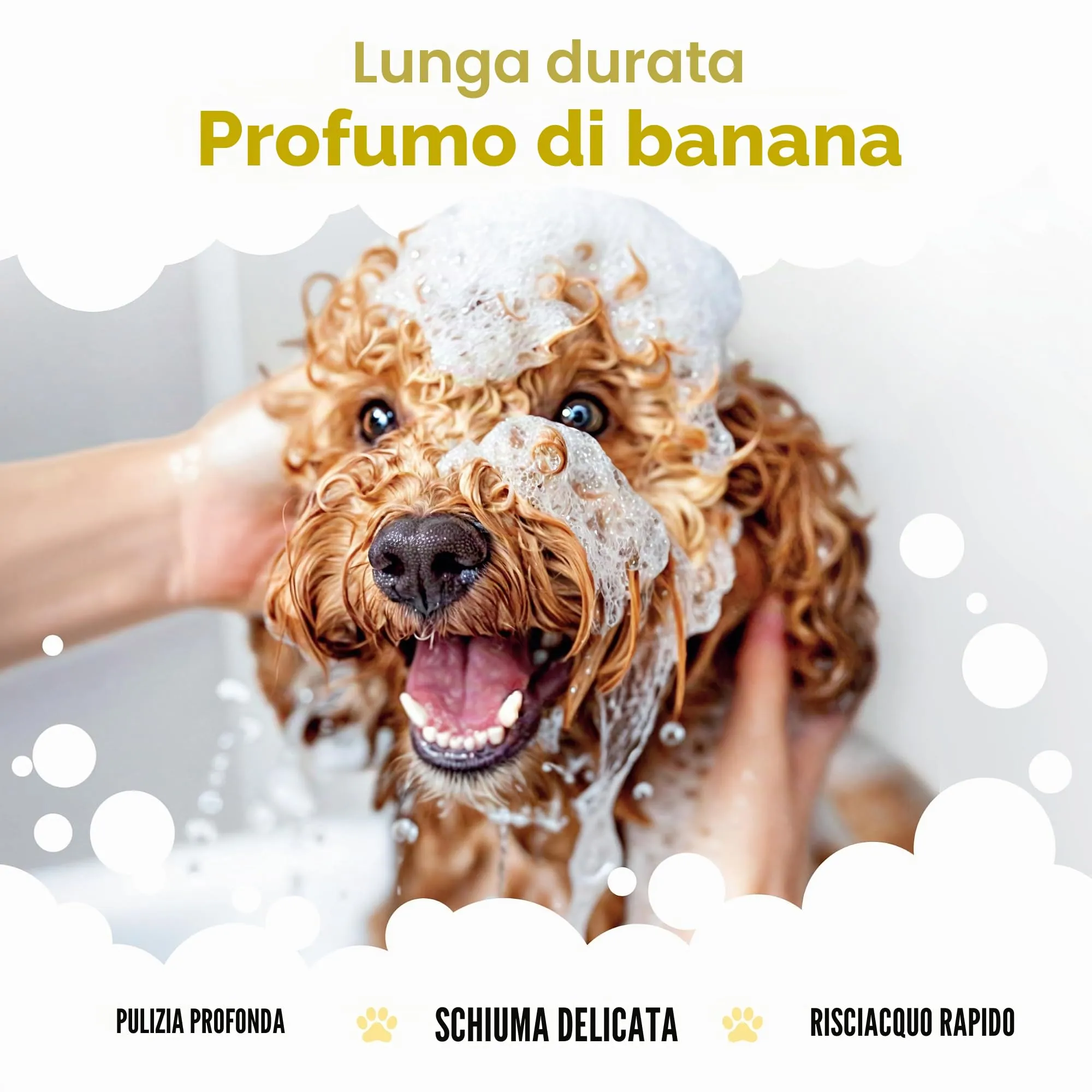 Buddycare Shampoo per Cani alla Banana con Aloe Vera e Pro-Vitamina B5, 500 ml - immagine 4