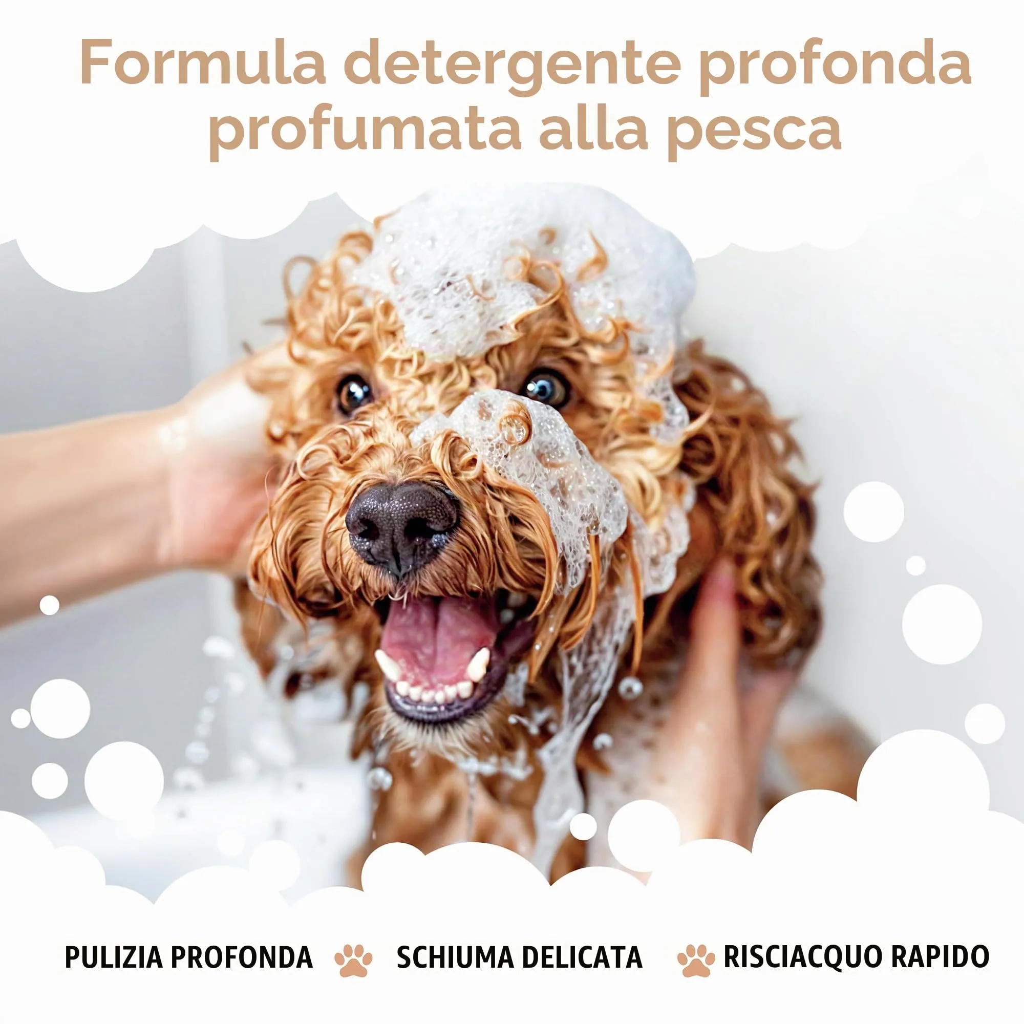 Buddycare Shampoo Districante per Cani a Pelo Riccio, Detergente Profondo con Aloe Vera e Pro Vitamina B5, Profumo di Pesca (500ml) - immagine 4