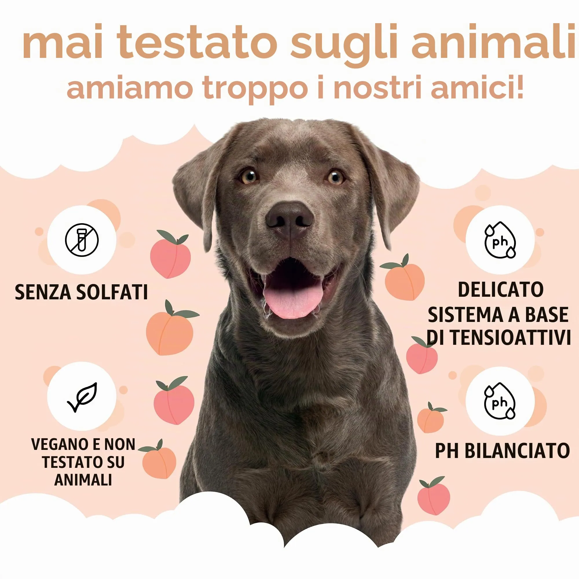 Buddycare Shampoo Districante per Cani a Pelo Riccio, Detergente Profondo con Aloe Vera e Pro Vitamina B5, Profumo di Pesca (500ml) - immagine 5