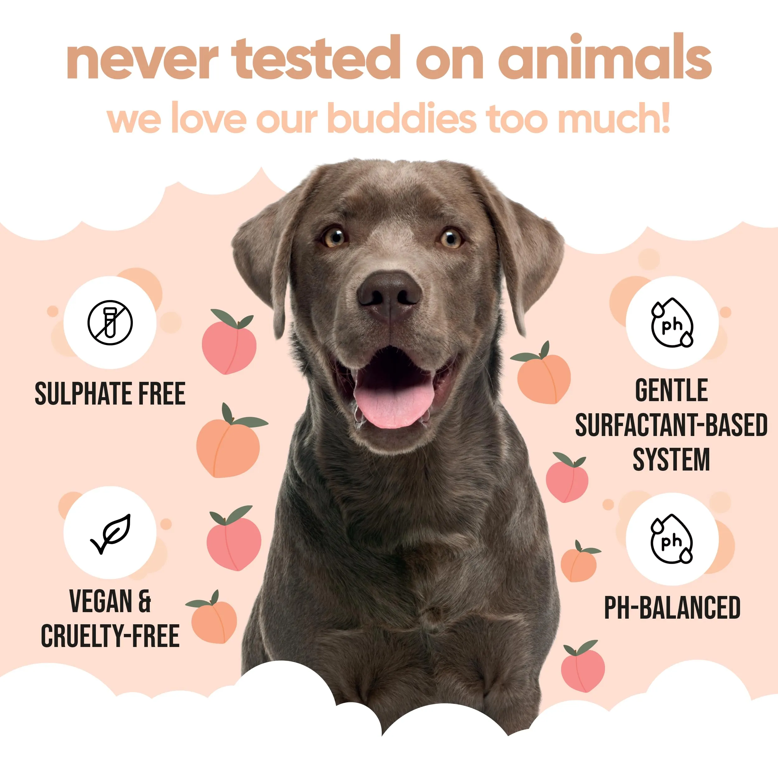 Buddycare Shampoo Districante per Cani a Pelo Riccio, Detergente Profondo con Aloe Vera e Pro Vitamina B5, Profumo di Pesca (5L) - immagine 5