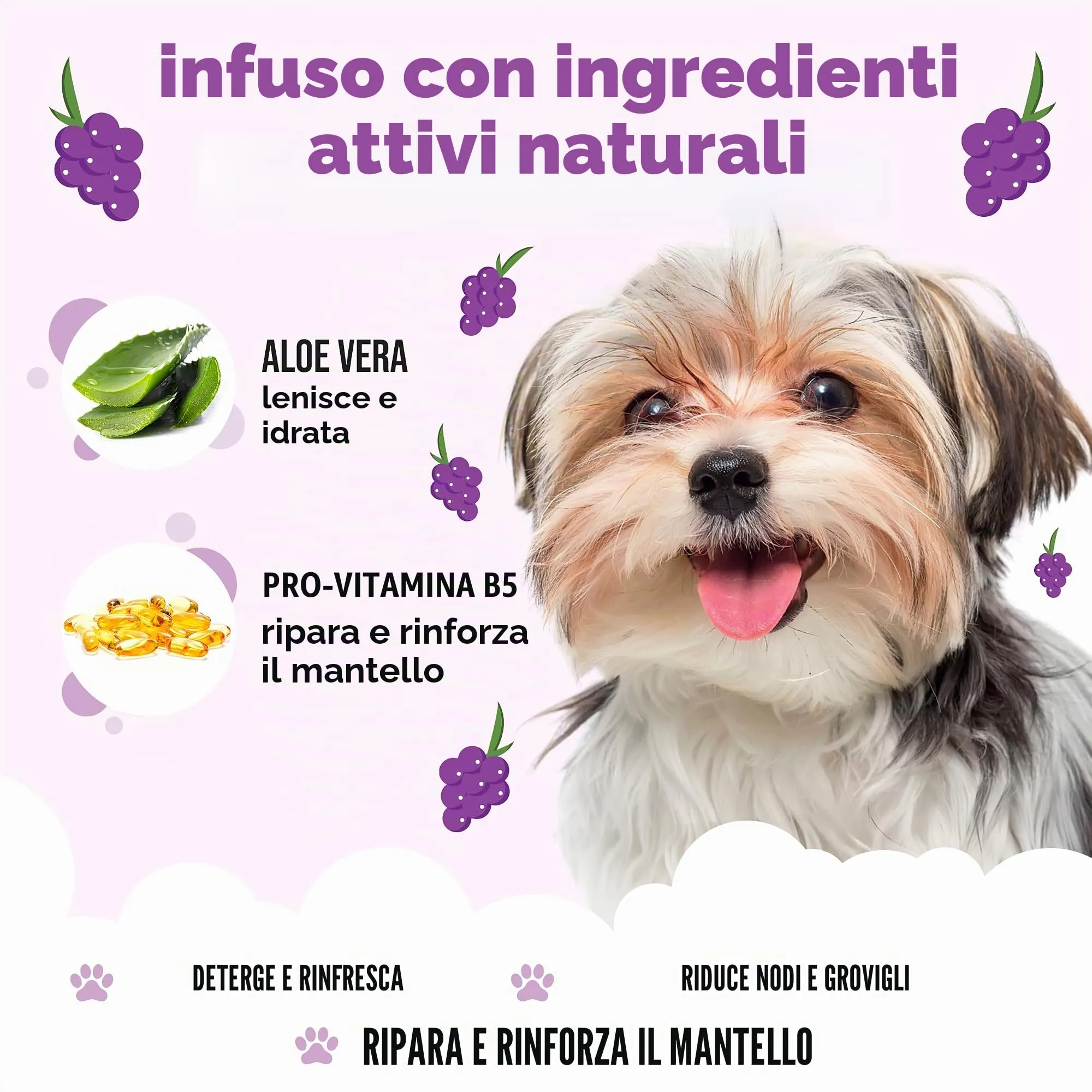 Buddycare Shampoo per cani, Grape, 500 ml - immagine 3