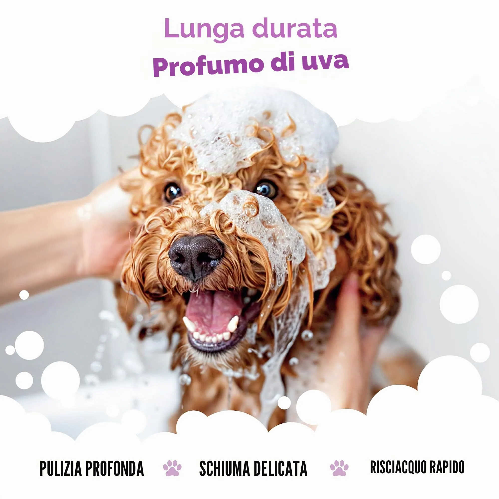 Buddycare Shampoo per cani, Grape, 500 ml - immagine 4