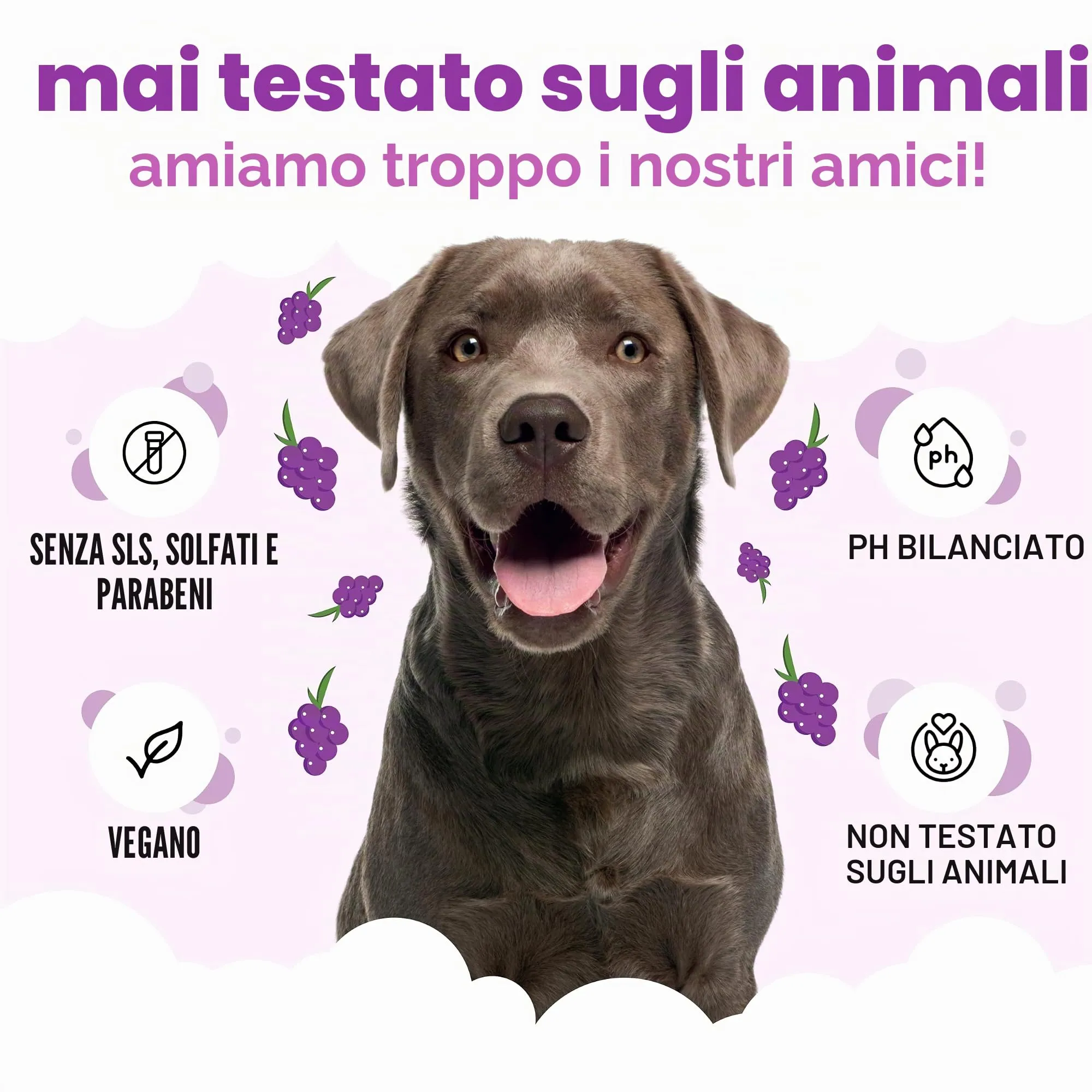 Buddycare Shampoo per cani, Grape, 500 ml - immagine 5