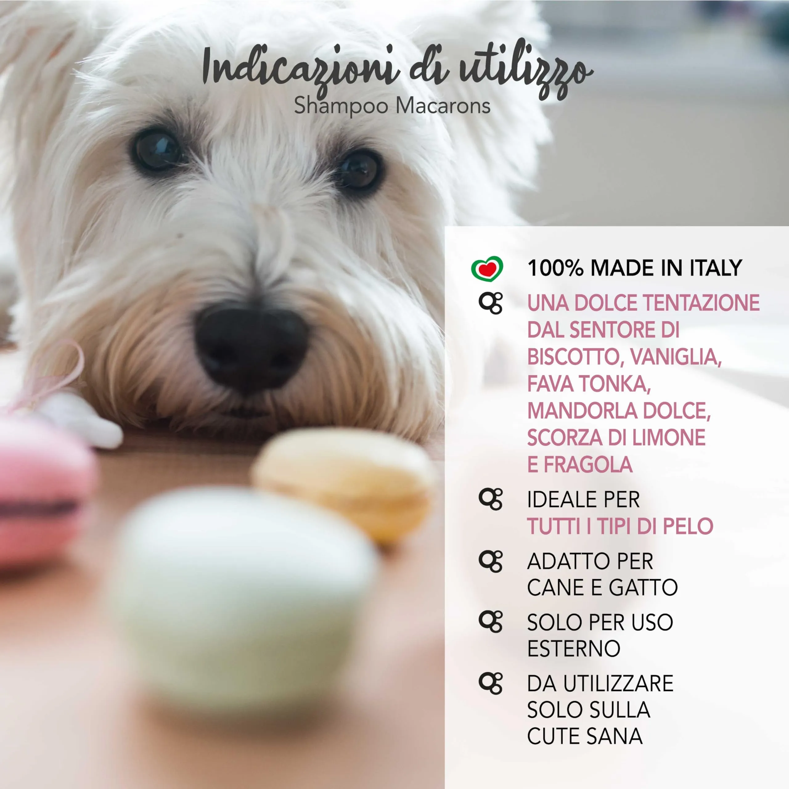 Yuup Macarons Shampoo for Dogs and Cats, 250 ml - immagine 4