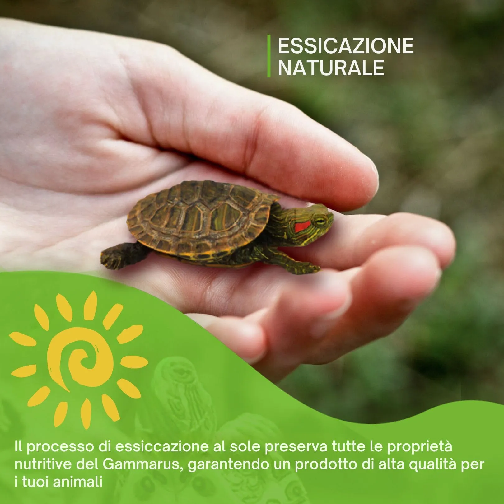 Detox Organica Gammarus per Tartarughe d'Acqua, 500g - immagine 3
