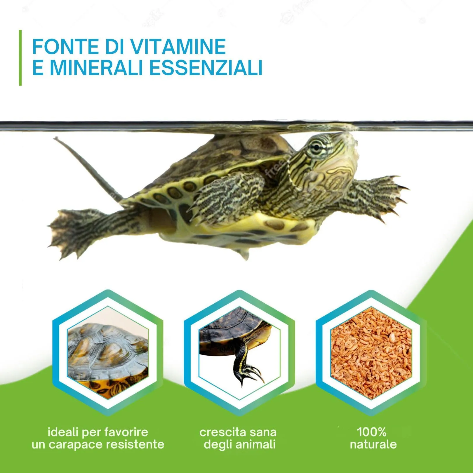Detox Organica Gammarus per Tartarughe d'Acqua, 500g - immagine 4
