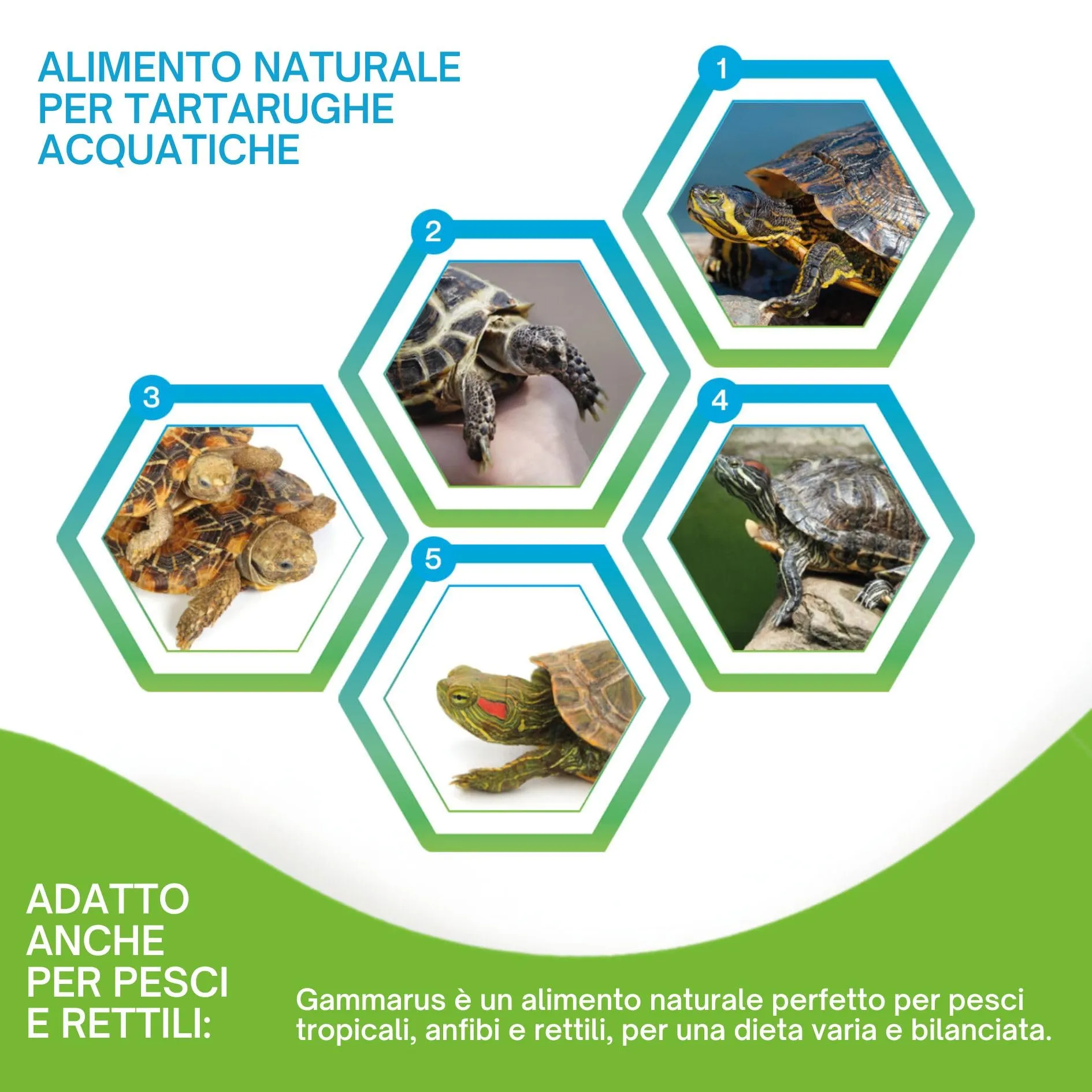 Detox Organica Gammarus per Tartarughe d'Acqua, 500g - immagine 5