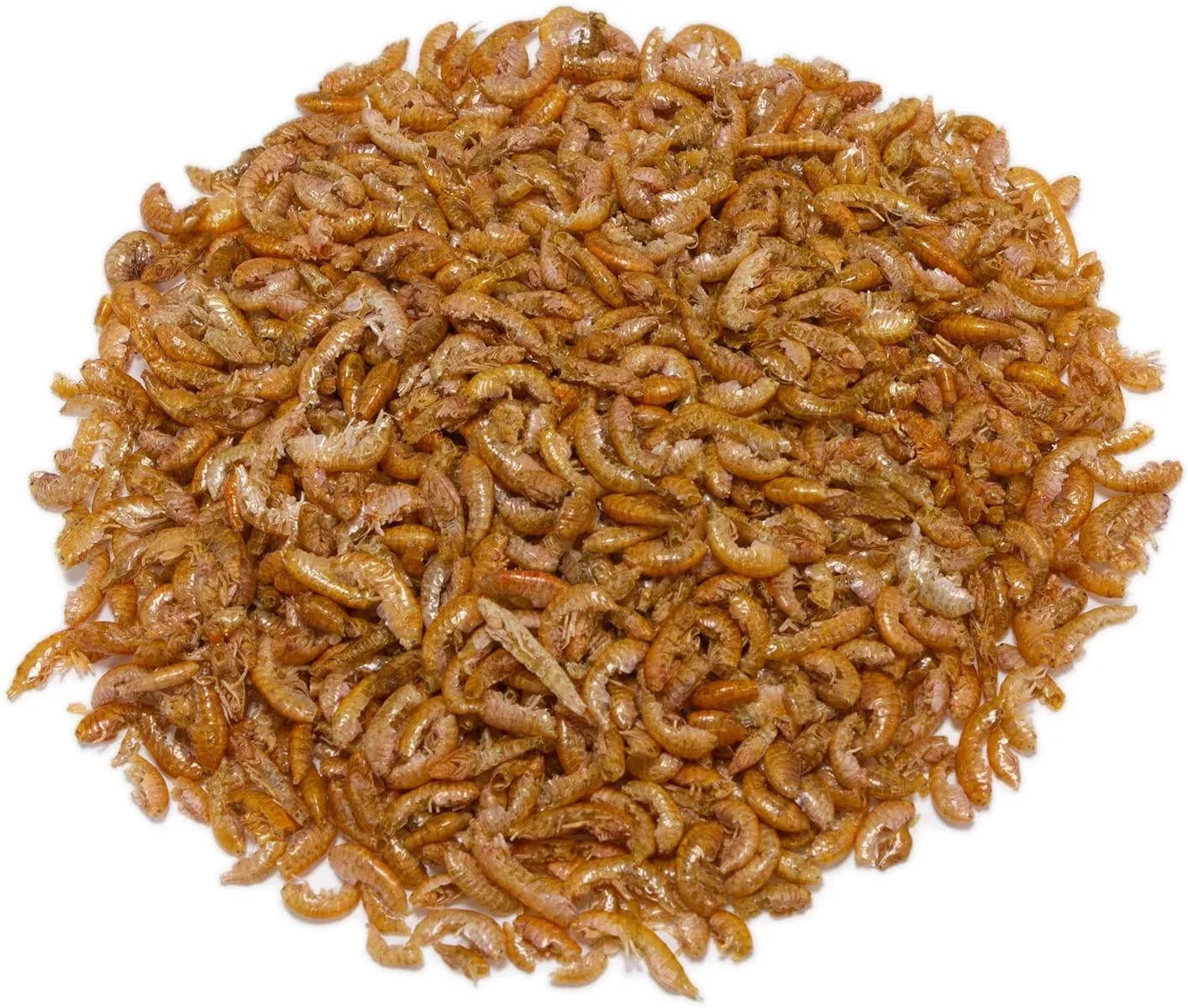 Detox Organica Gammarus per Tartarughe d'Acqua, 500g - immagine 6