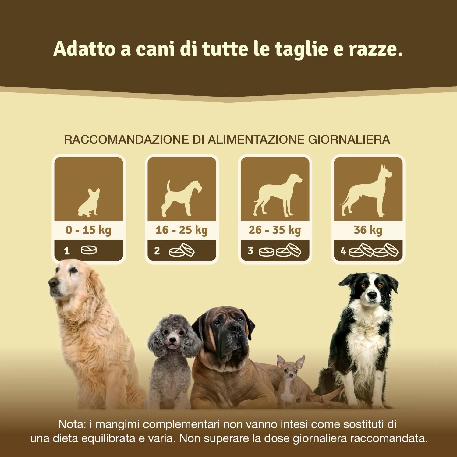 Veddelholzer Integratori per articolazioni cani con cozza dalle labbra verdi, MSM, artiglio del diavolo, glucosamina e collagene, 125 Unità - immagine 3