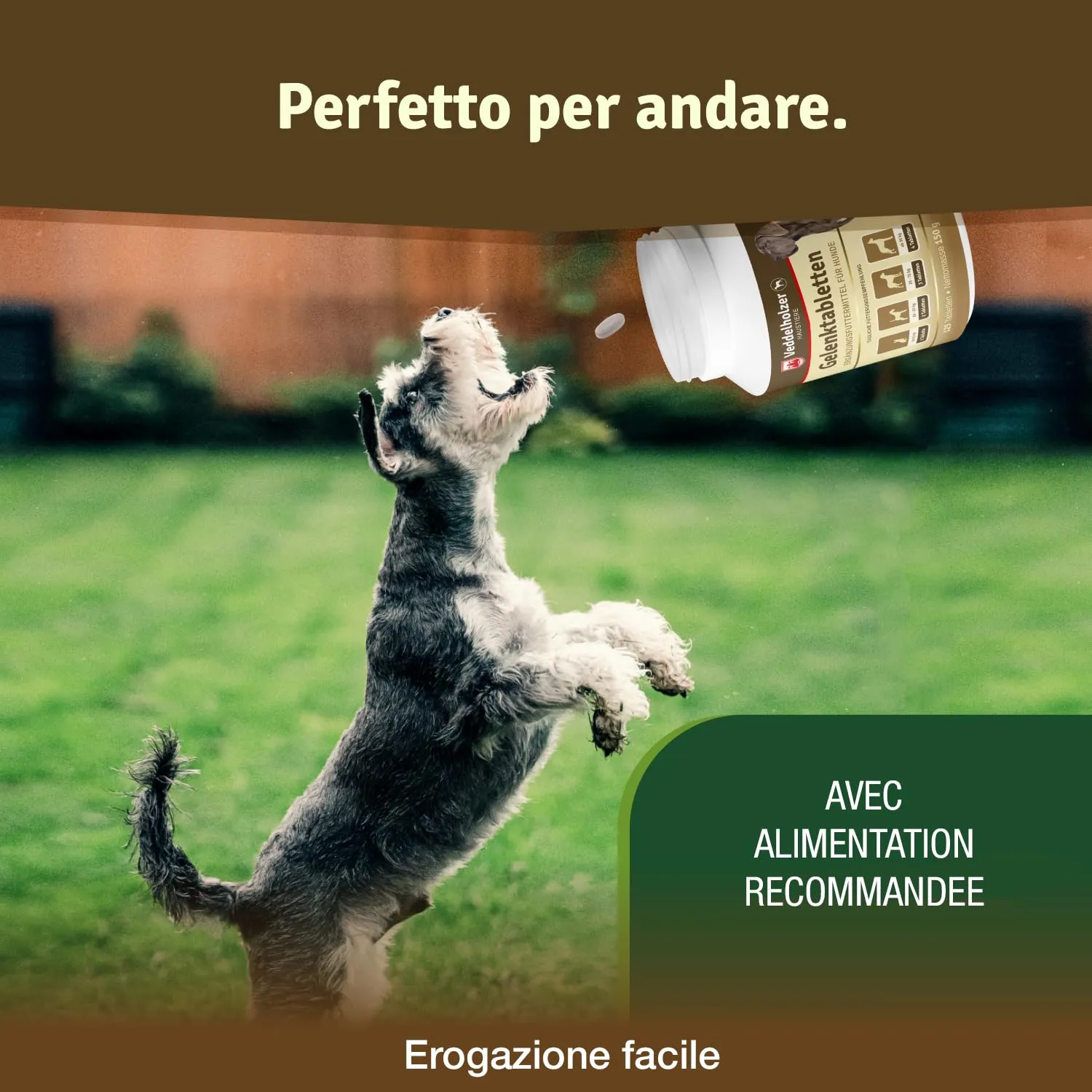 Veddelholzer Integratori per articolazioni cani con cozza dalle labbra verdi, MSM, artiglio del diavolo, glucosamina e collagene, 125 Unità - immagine 5