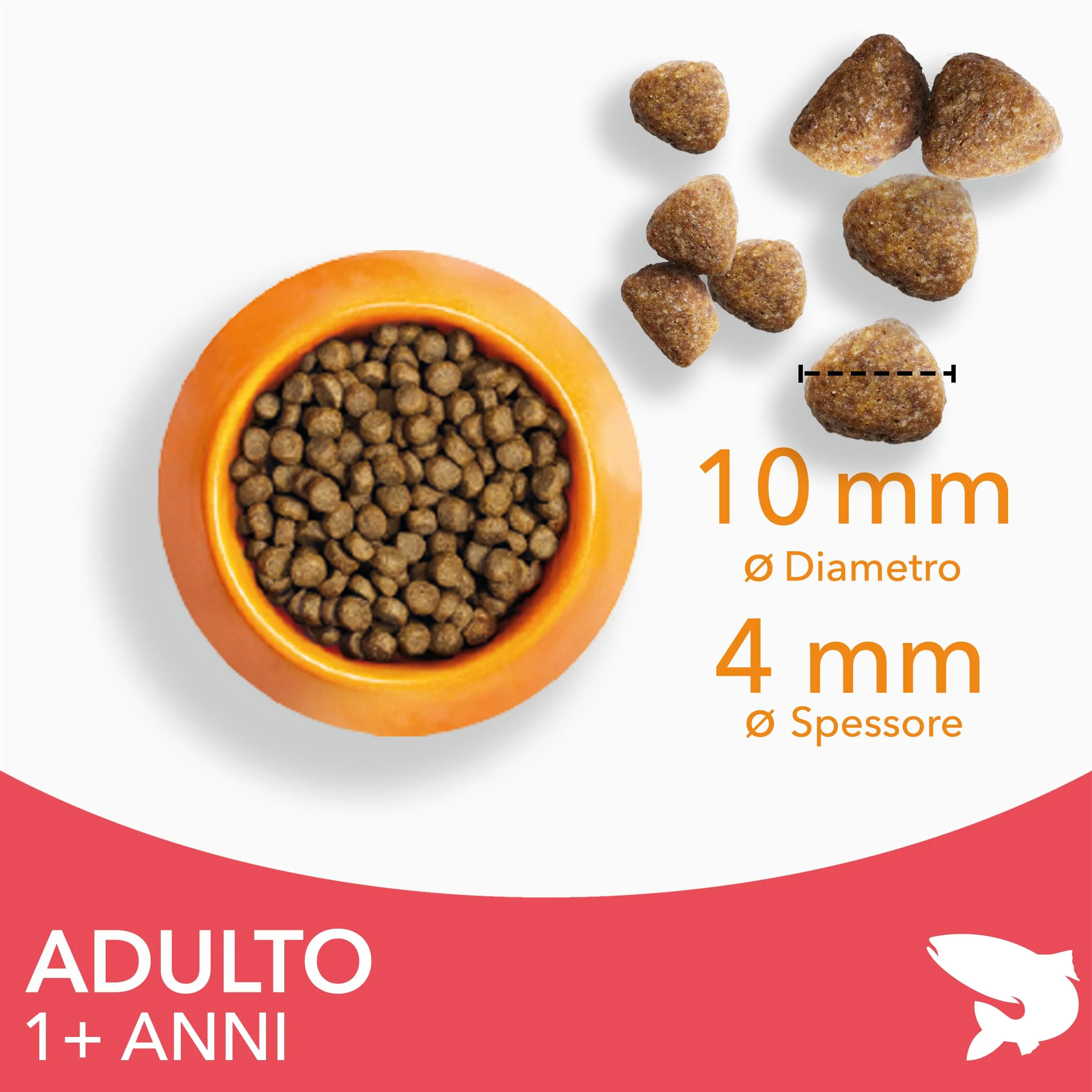 IAMS Cibo secco per gatti 1-6 anni al salmone, 1,5 kg - immagine 2