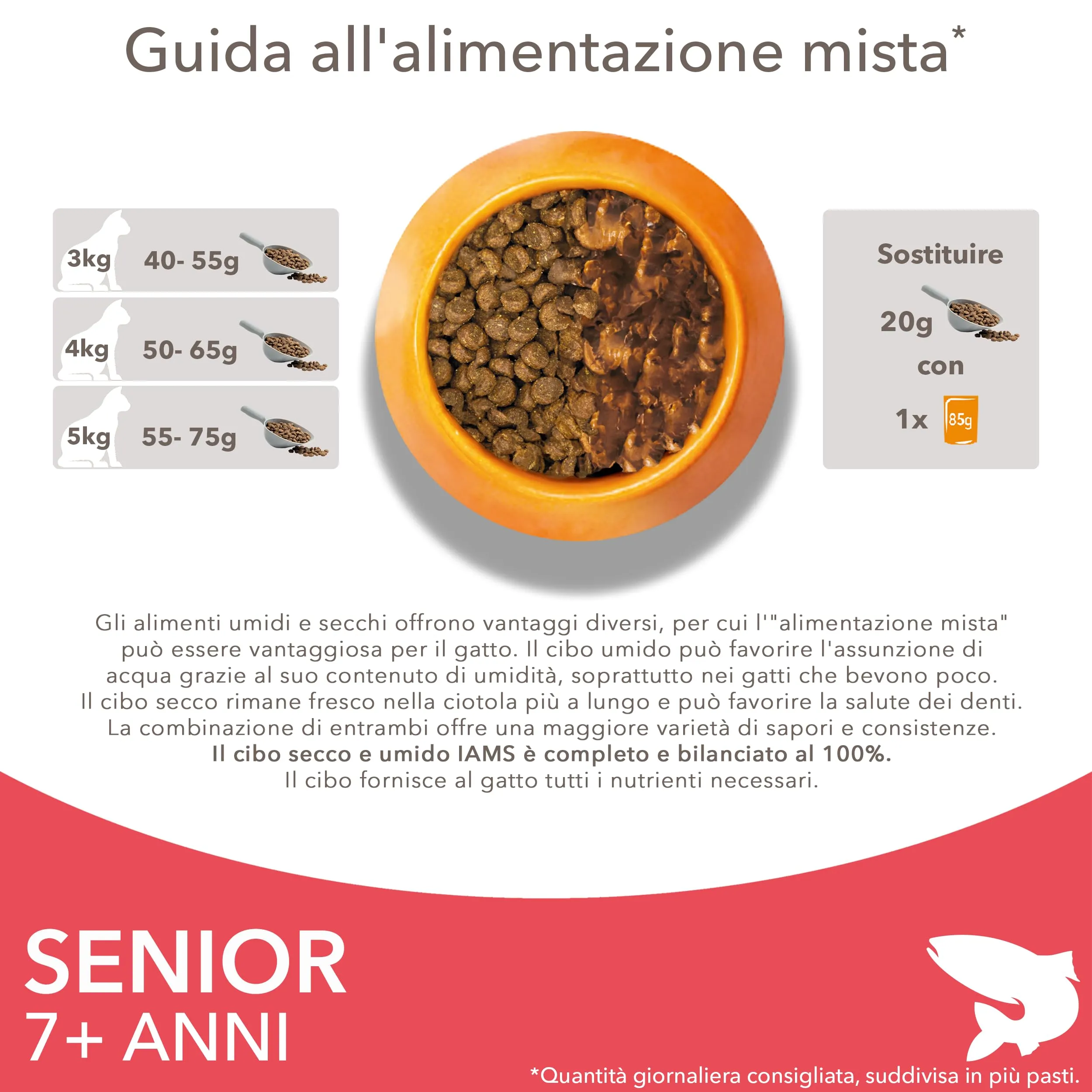 IAMS Cibo secco per gatti 1-6 anni al salmone, 1,5 kg - immagine 6