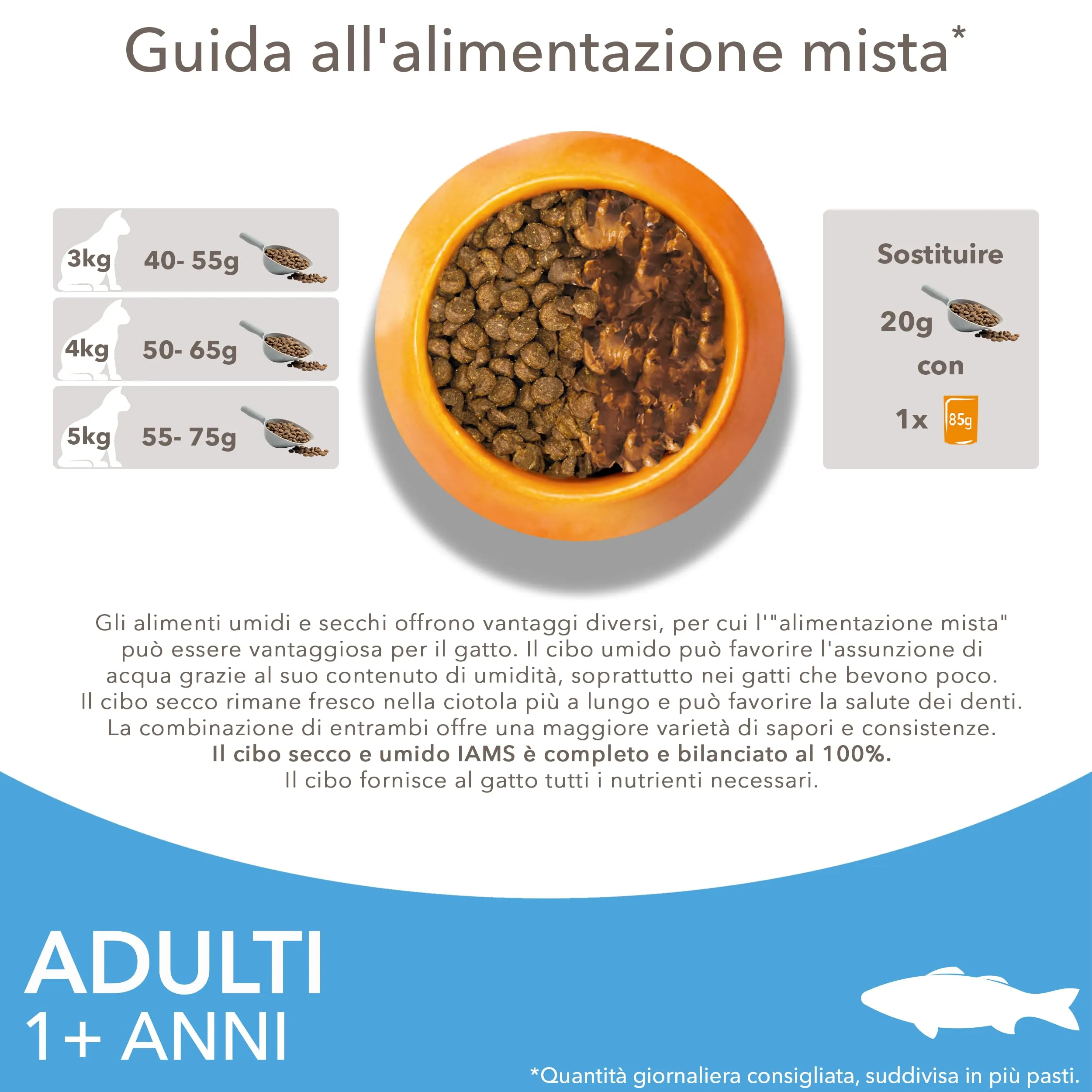 IAMS Cibo secco per gatti 1-6 anni al pesce, 10 kg - immagine 6