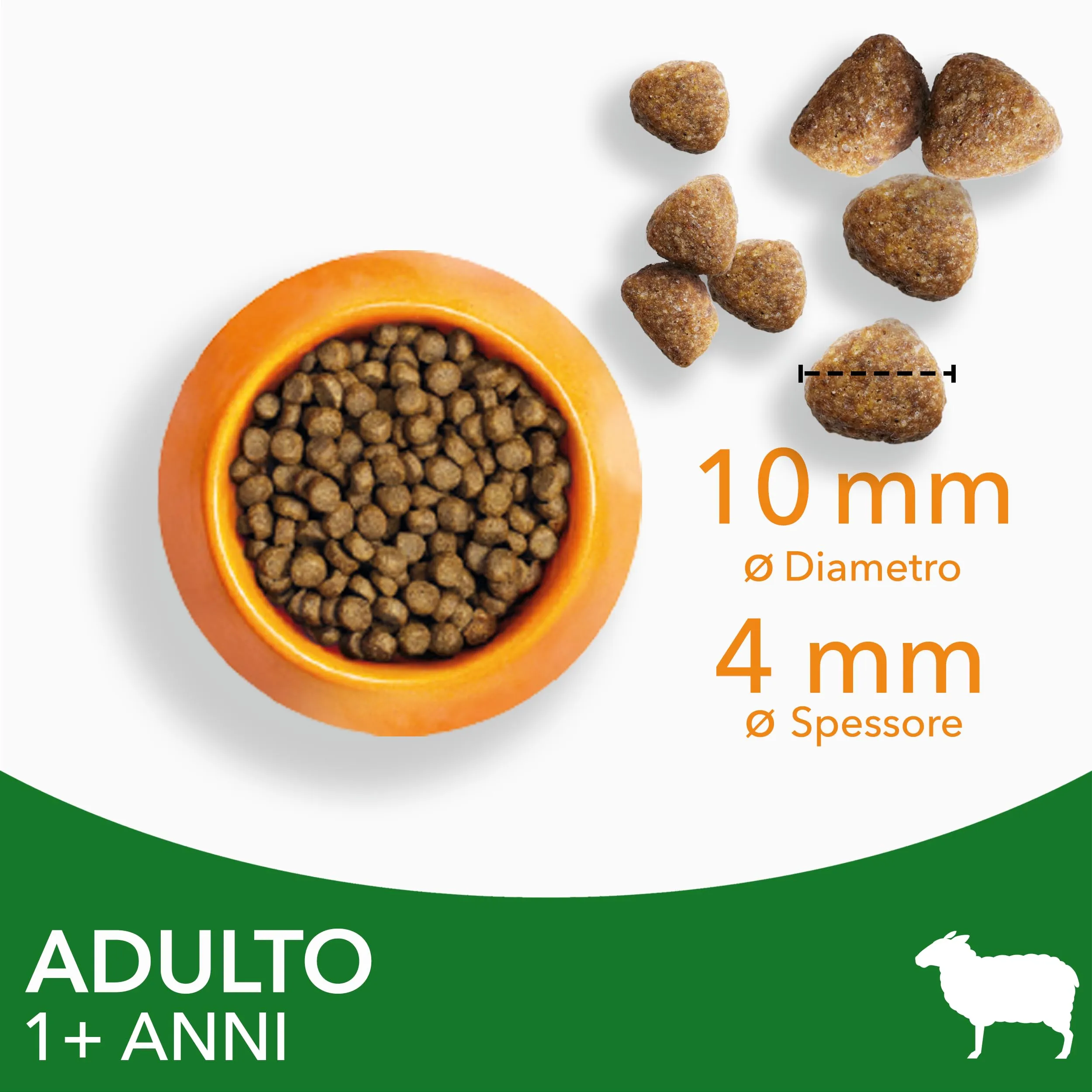 IAMS Cibo secco per gatti 1-6 anni all'agnello, 1,5 kg - immagine 2