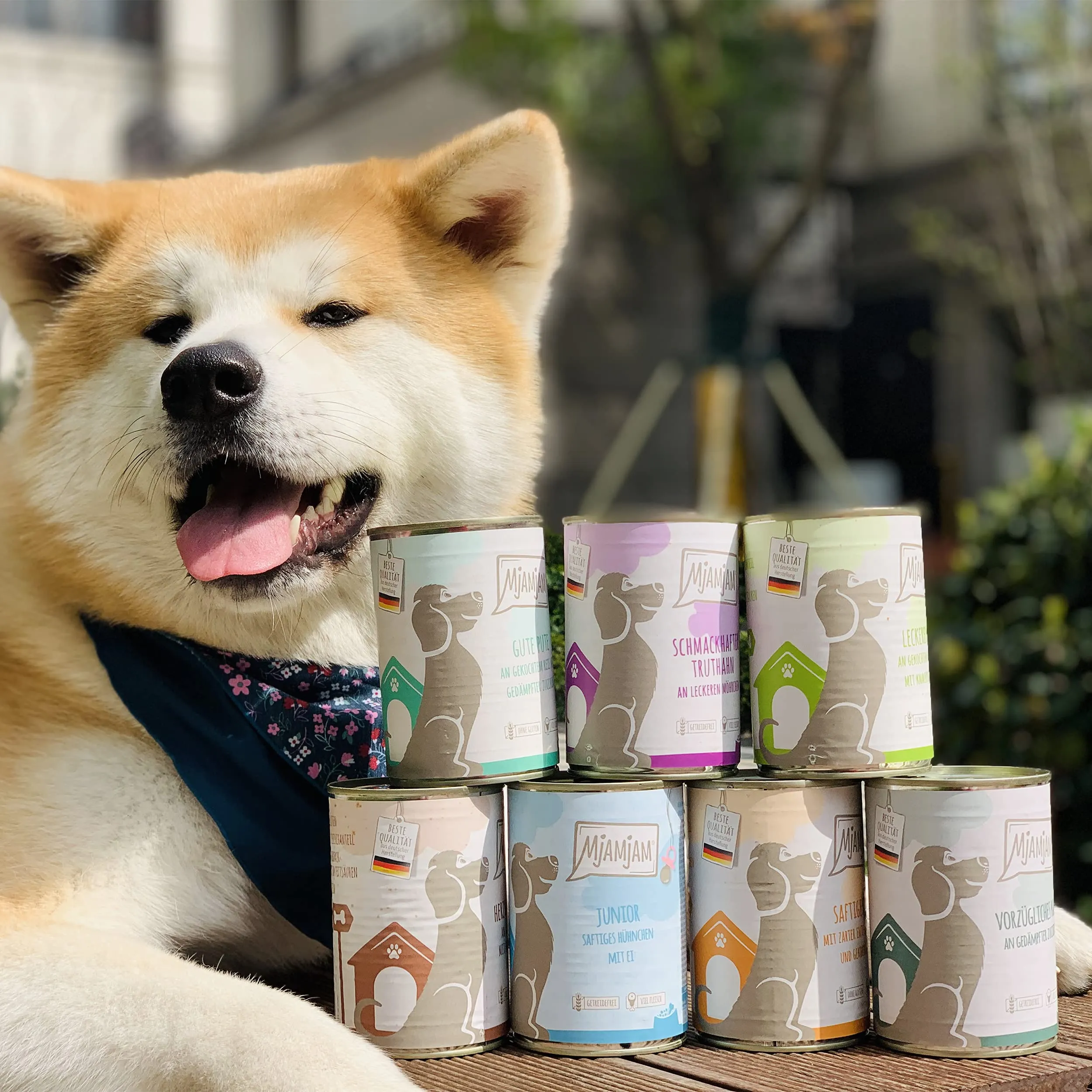 MjAMjAM Cibo Umido Premium per Cani, Confezione Mista I (Pollo e Anatra, Manzo, Tacchino), 6 x 800 g - immagine 2