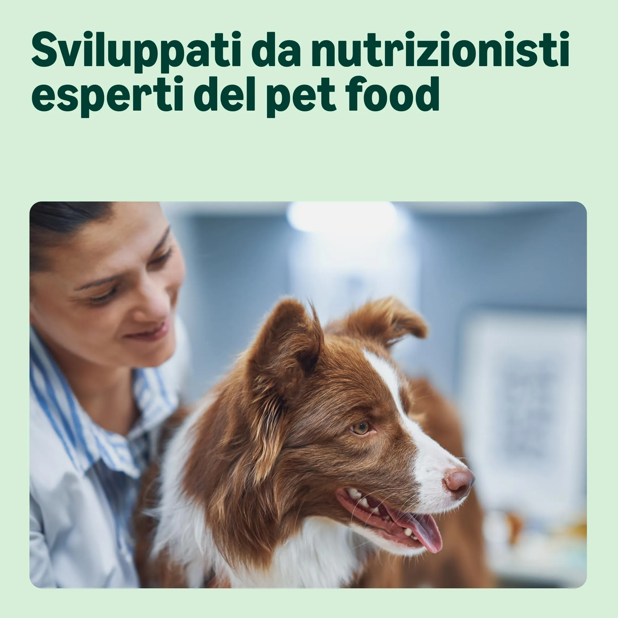 by Amazon Complete Dry Dog Food with Salmon and Rice for Medium and Large Breeds, 15kg - immagine 3