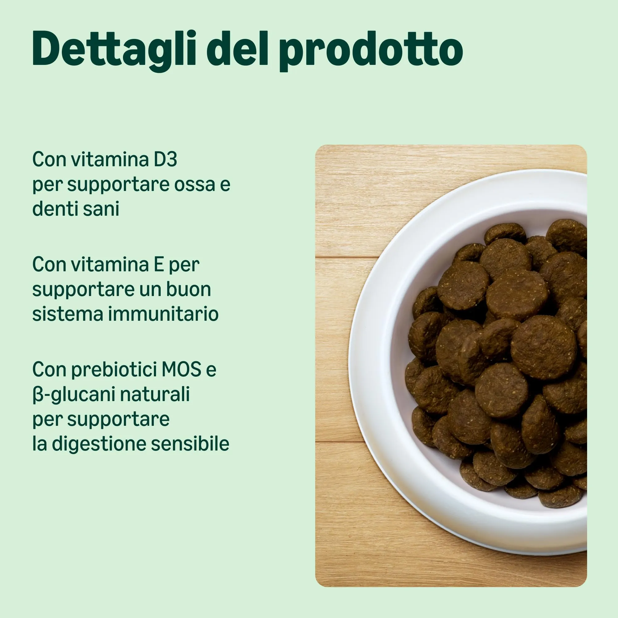 by Amazon Complete Dry Dog Food with Salmon and Rice for Medium and Large Breeds, 5kg - immagine 2