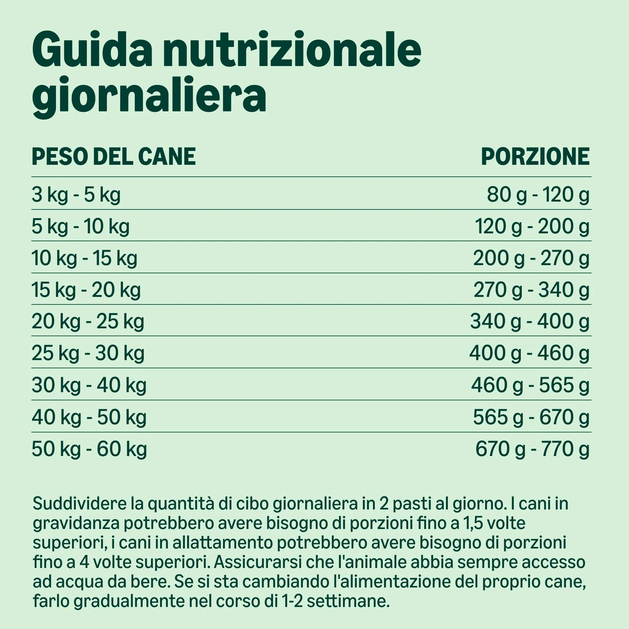 by Amazon Complete Dry Dog Food with Salmon and Rice for Medium and Large Breeds, 5kg - immagine 5