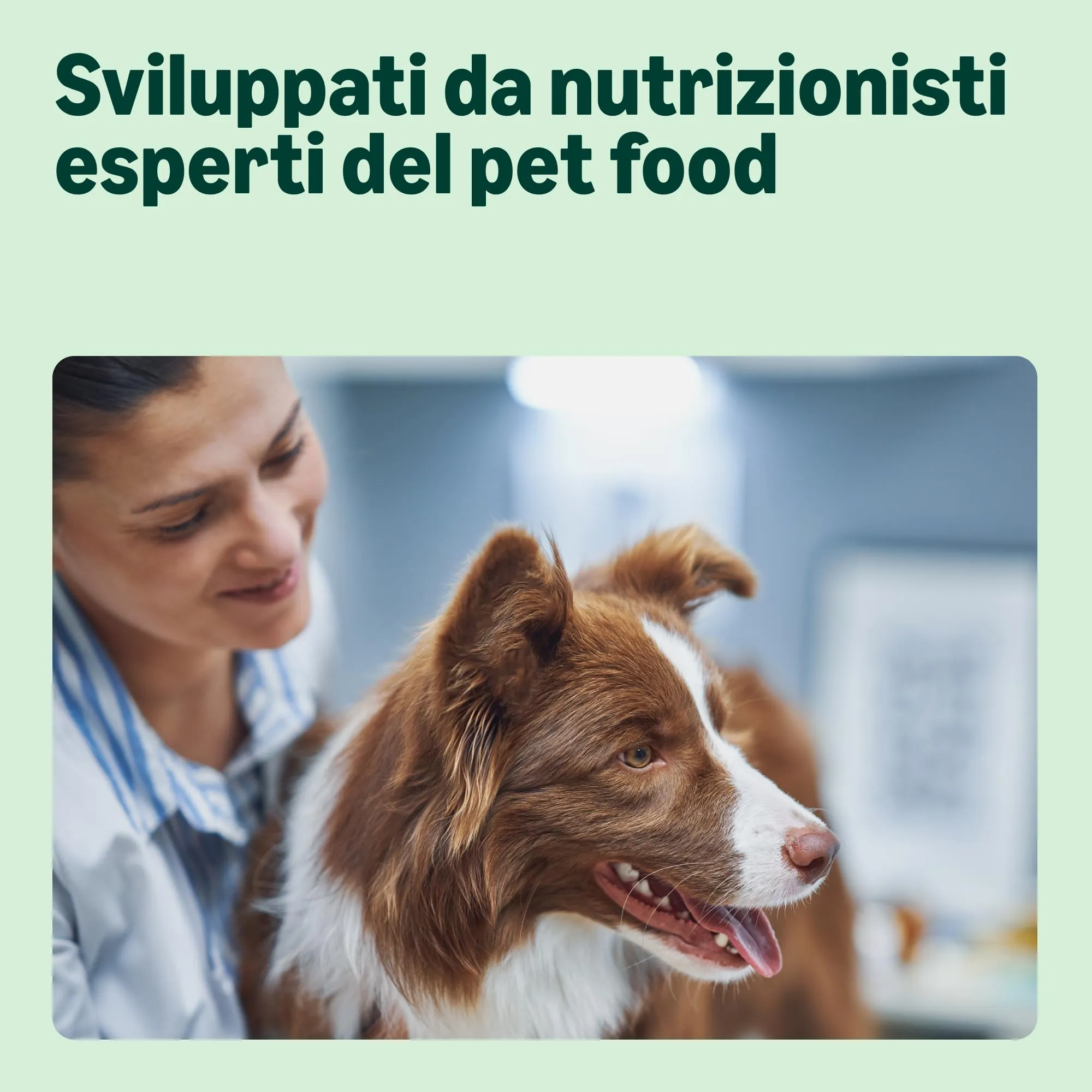 by Amazon Complete Dry Dog Food Chicken and Rice for Medium and Large Breeds, 5kg - immagine 3