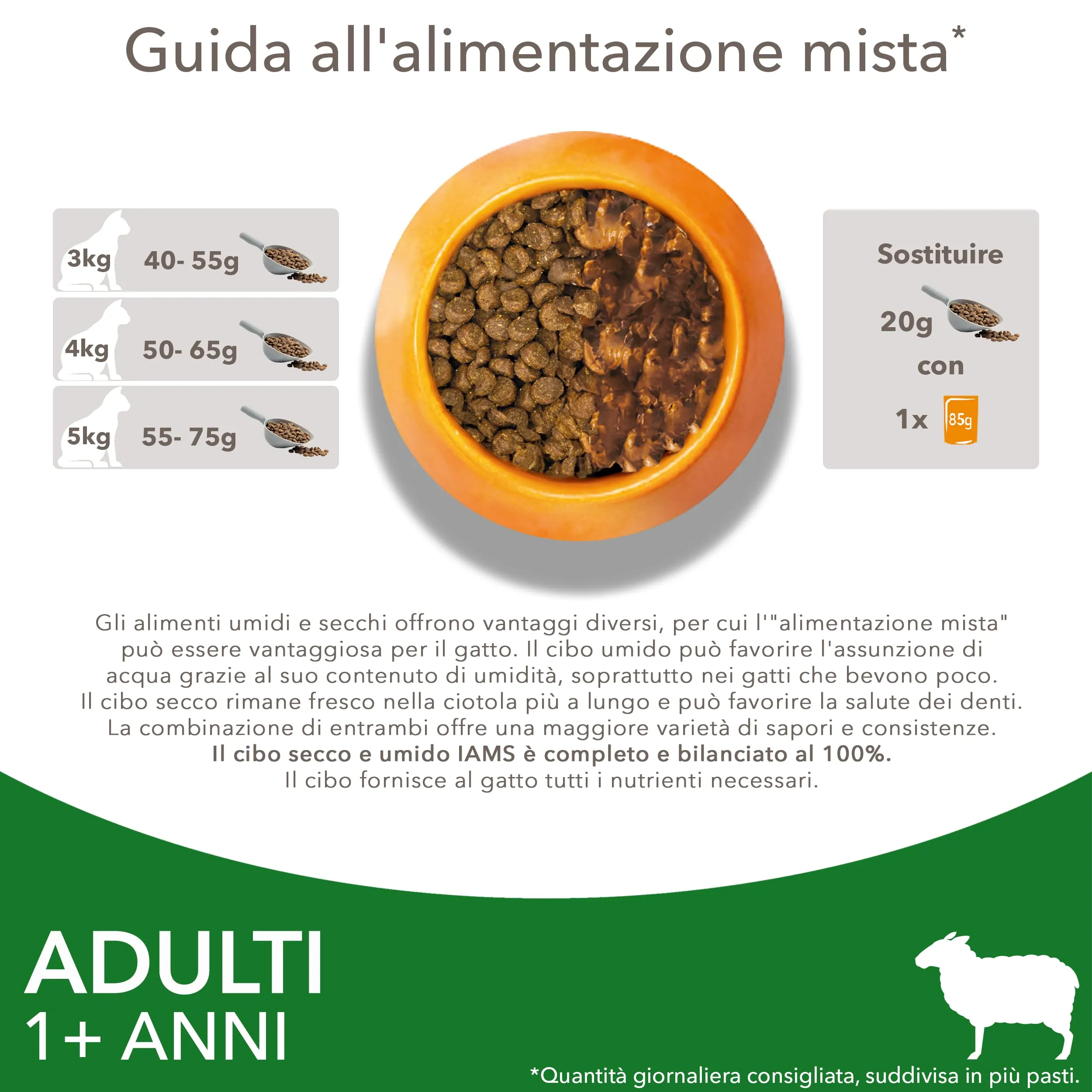 IAMS Cibo secco per gatti 1-6 anni all'agnello, 10 kg - immagine 6