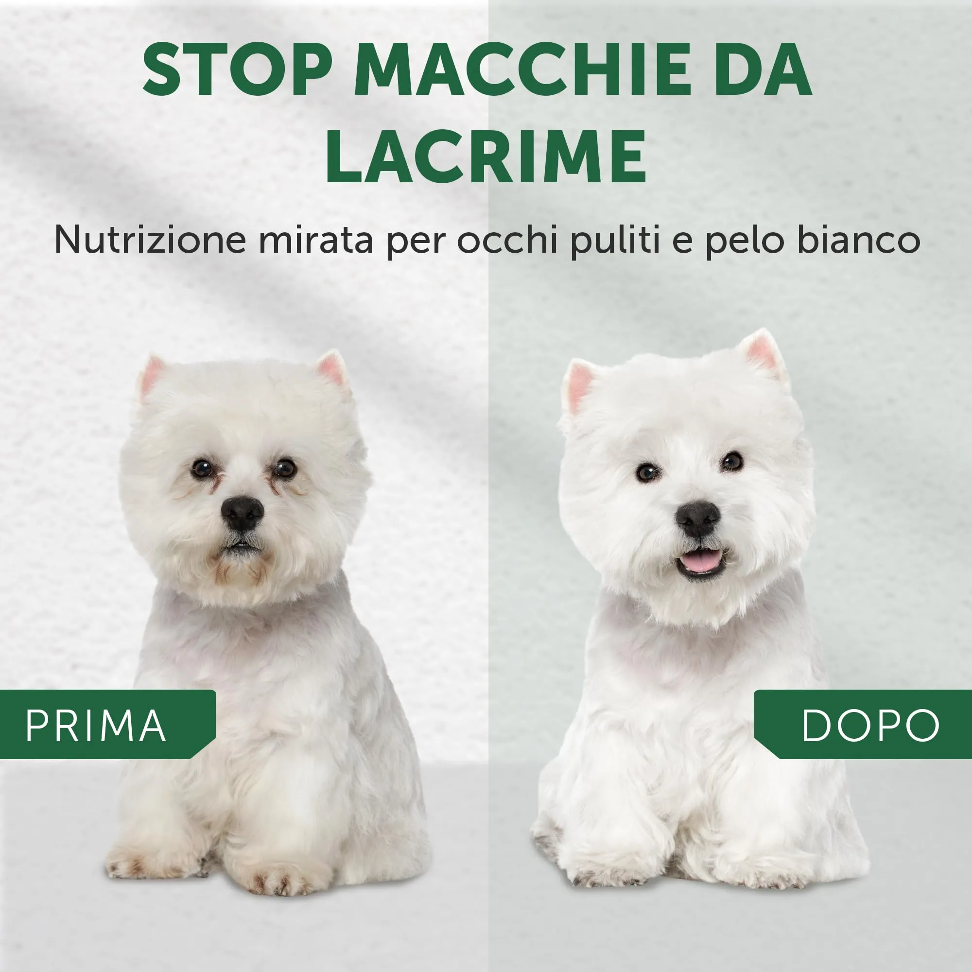 Nature's Protection Superior Care Cibo Secco Adulti, Agnello e Riso, 10 kg - immagine 2