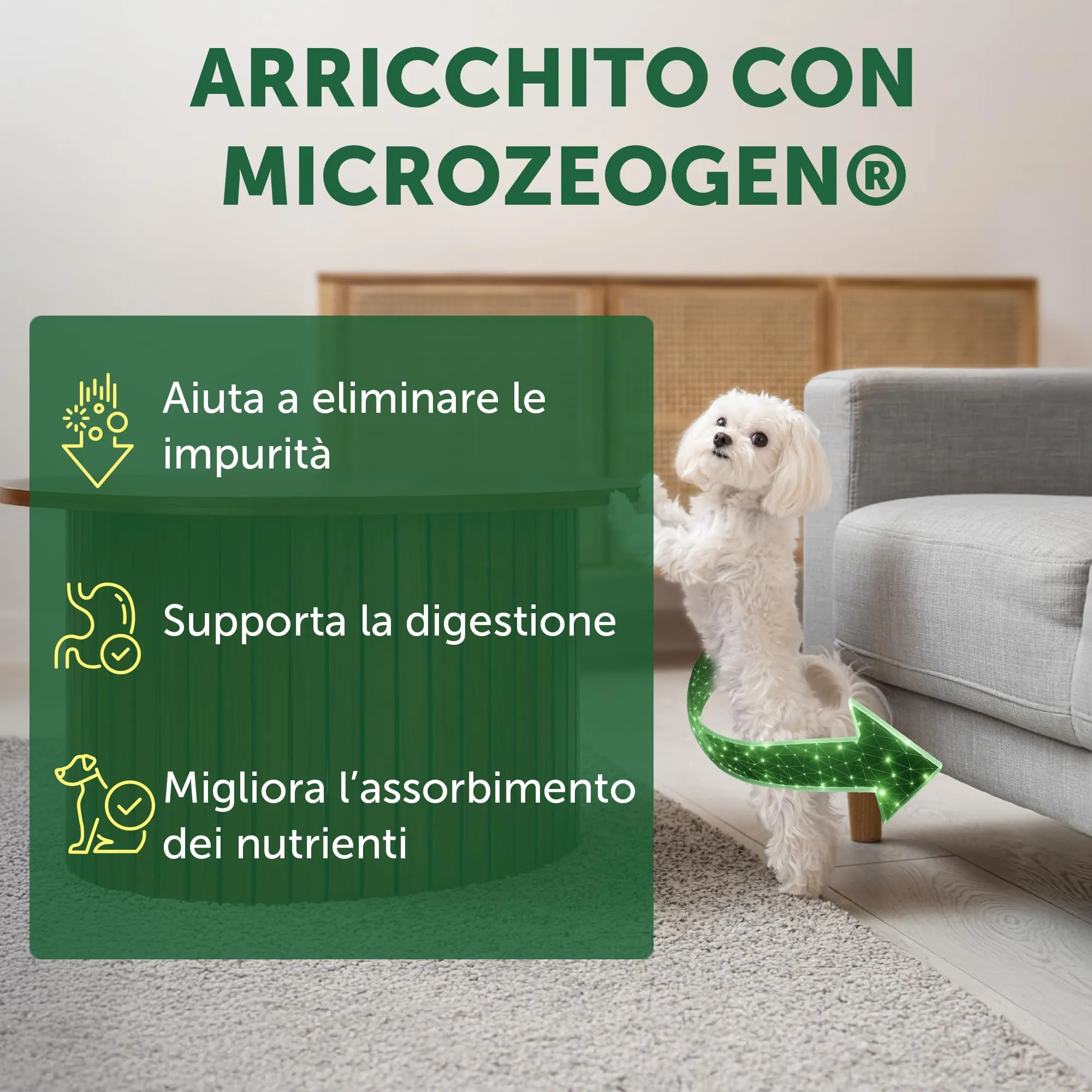 Nature's Protection Superior Care Cibo Secco Adulti, Agnello e Riso, 10 kg - immagine 5