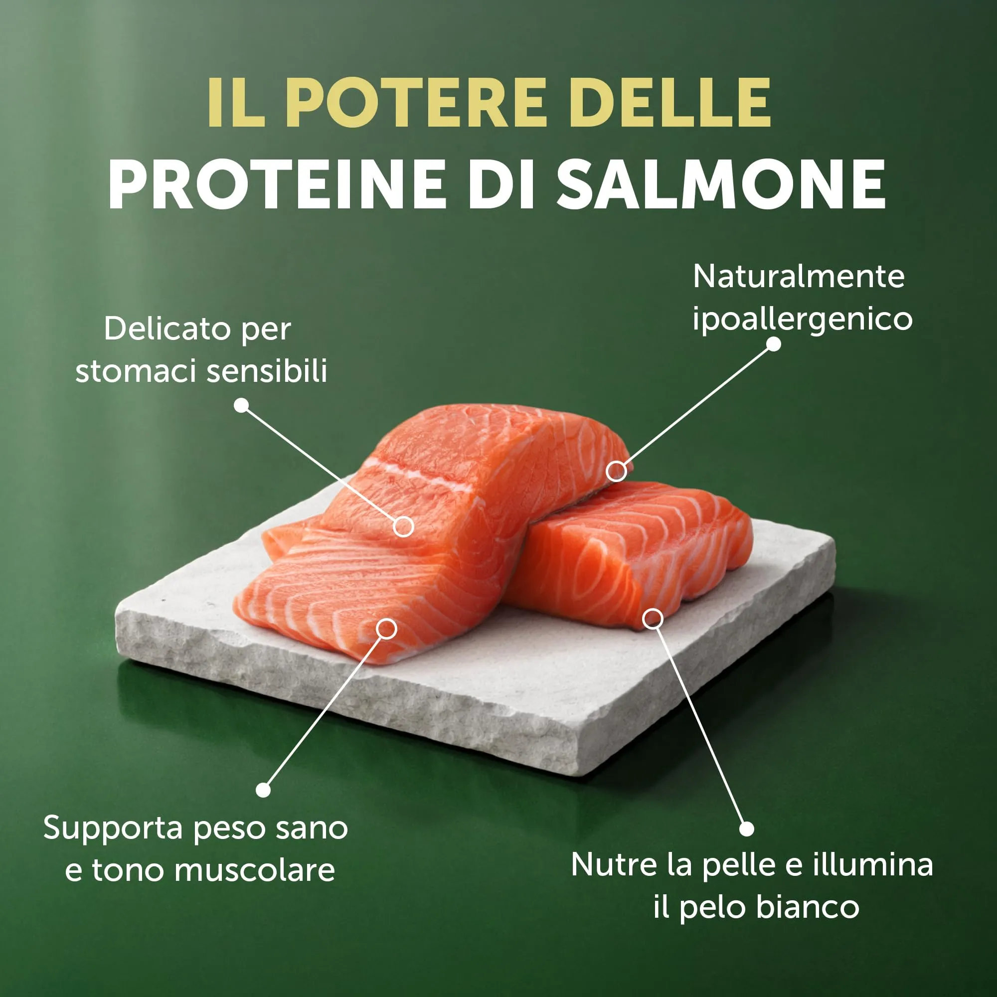 Nature's Protection Superior Care Cibo Secco Adulti, Salmone 1,5 kg - immagine 5
