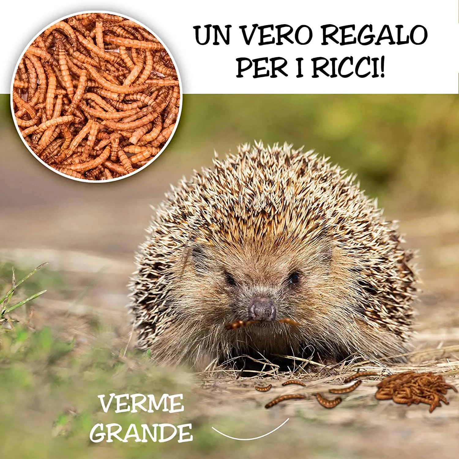 Detox Organica Camole della Farina Essiccate 800g - immagine 6