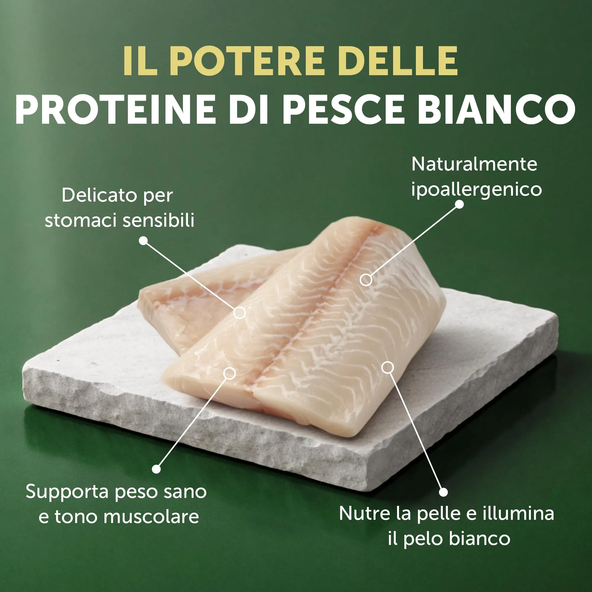Nature's Protection Superior Care Cibo secco adulti, Pesce bianco 10 kg - immagine 4