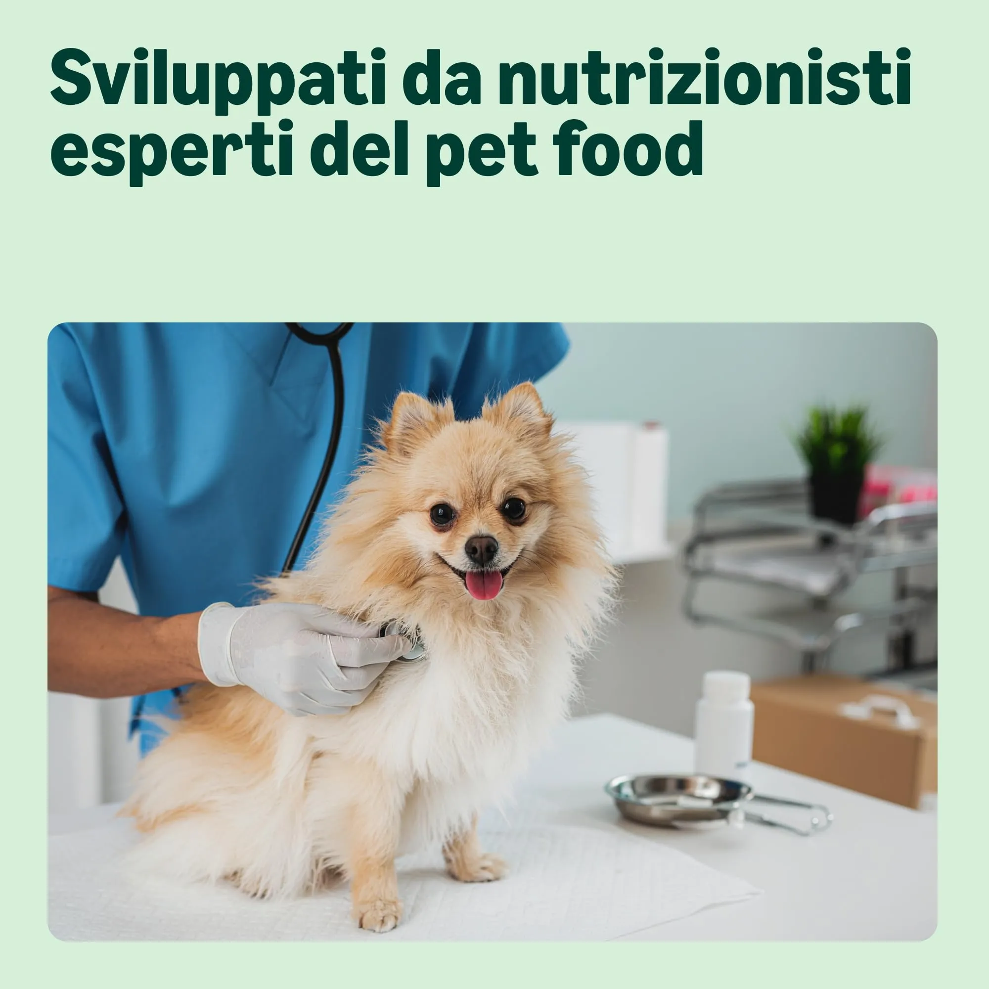 by Amazon Complete Alimento Secco per Cani Adulti Razze Piccole Pollo e Riso, 3kg - immagine 3