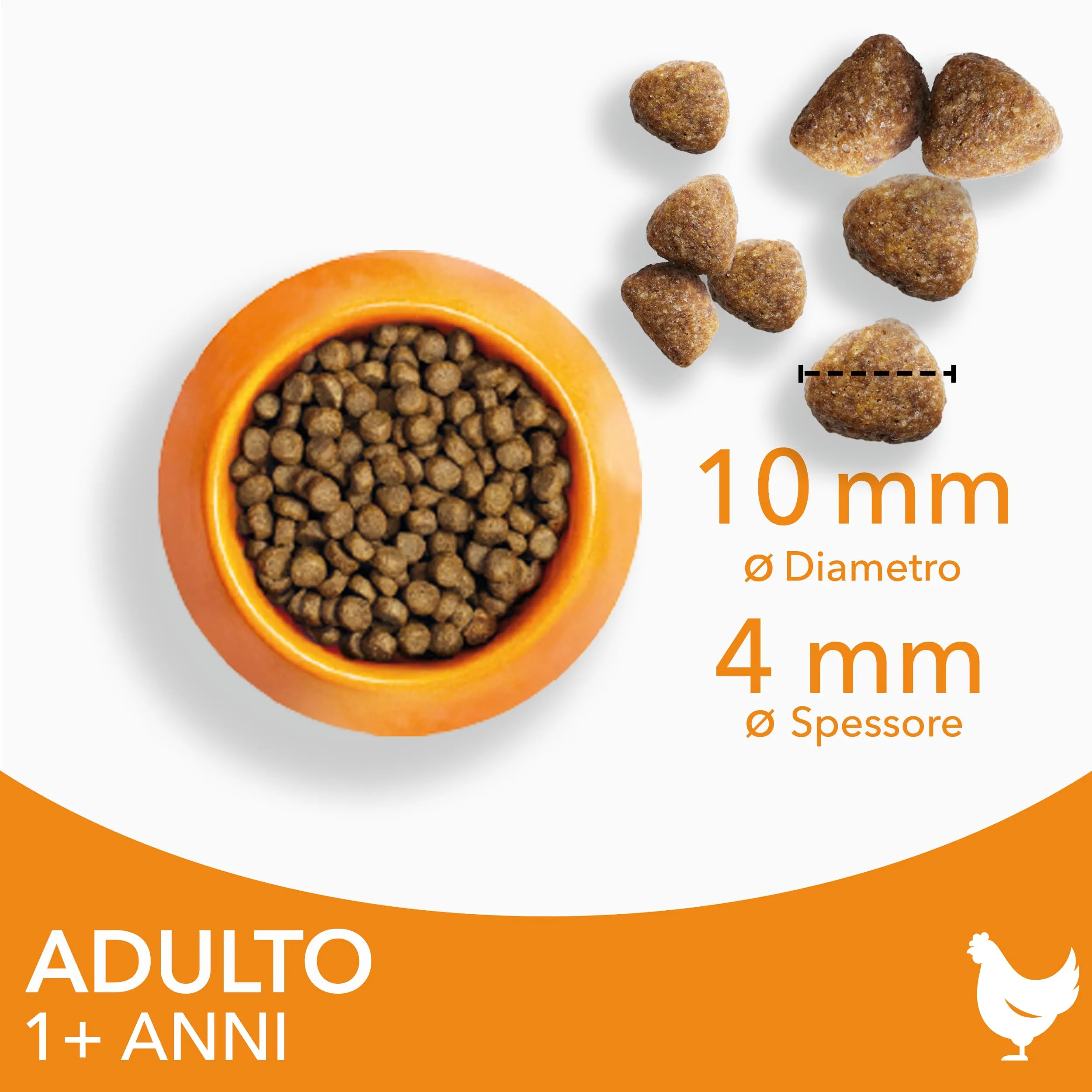 IAMS Cibo secco per gatti 1-6 anni al pollo, 1,5 kg - immagine 2
