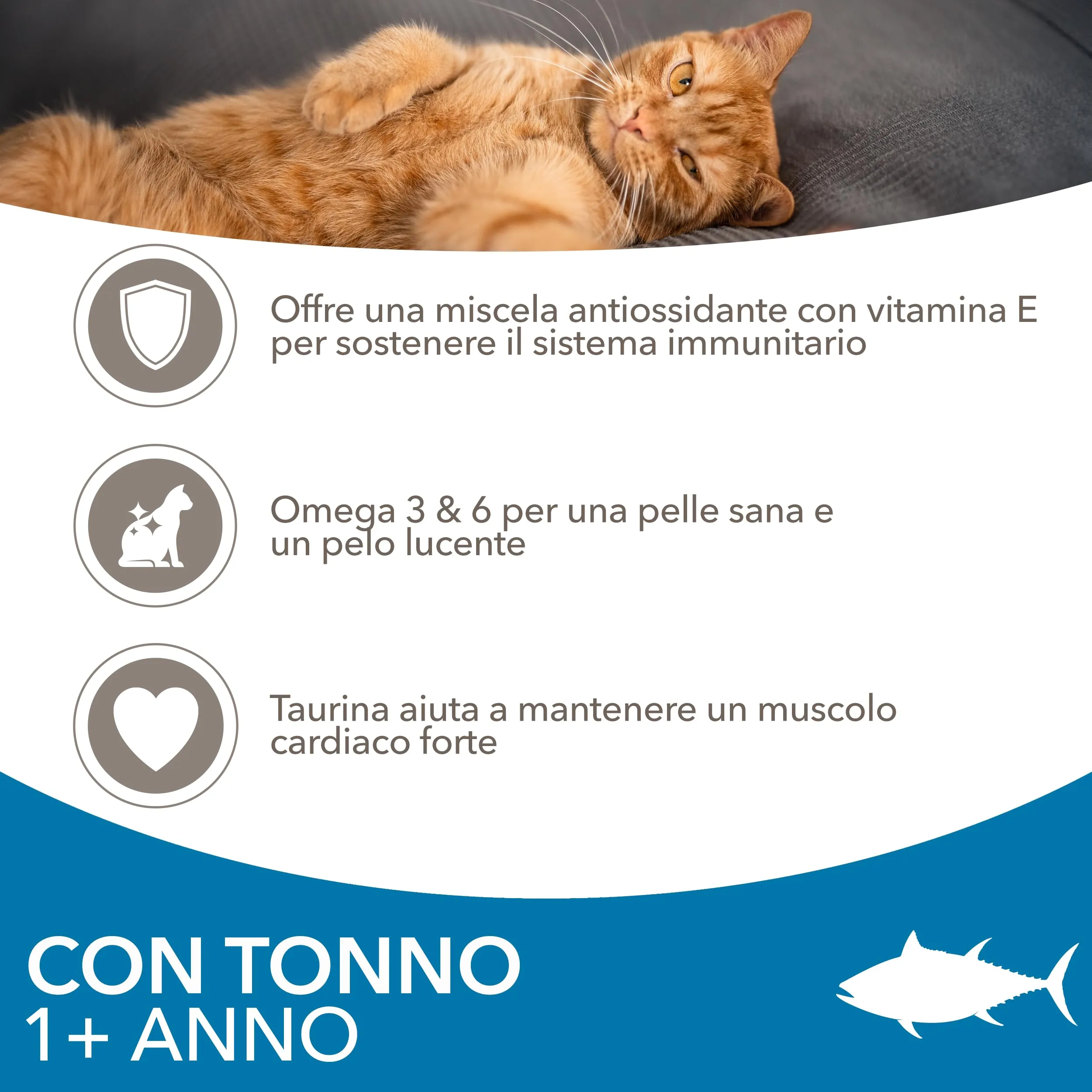 IAMS Cibo secco per gatti 1-6 anni al tonno, 10 kg - immagine 3