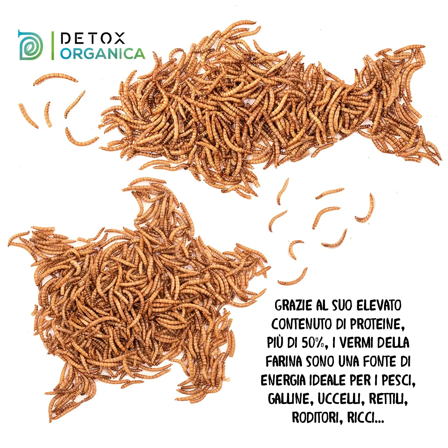 Detox Organica Camole della Farina Essiccate 860g - immagine 2